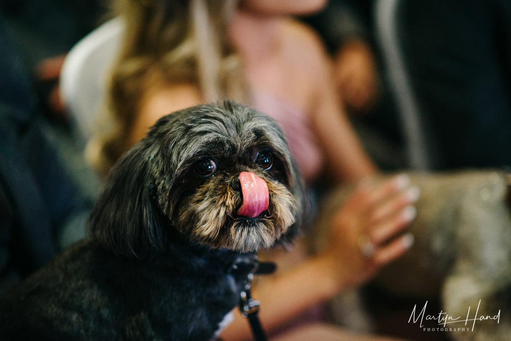 Waterton Park Hotel Wedding Photographer Martyn Hand Photography