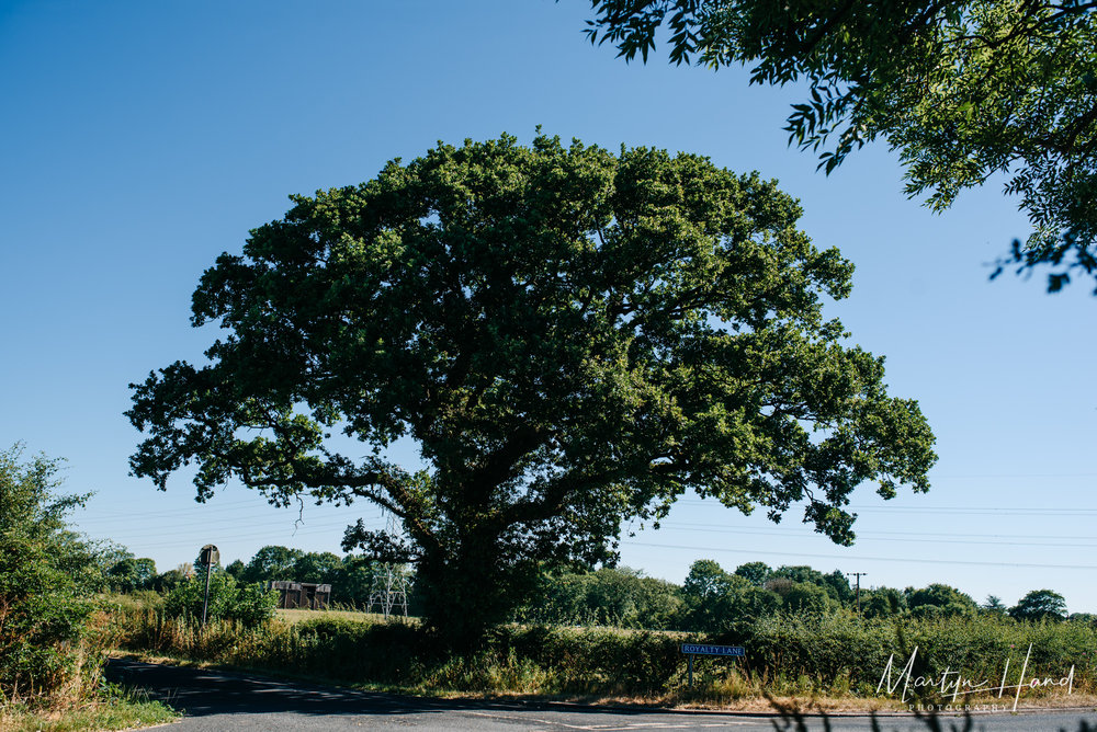 Wellbeing Farm Wedding Photographer Martyn Hand Photography (Copy)