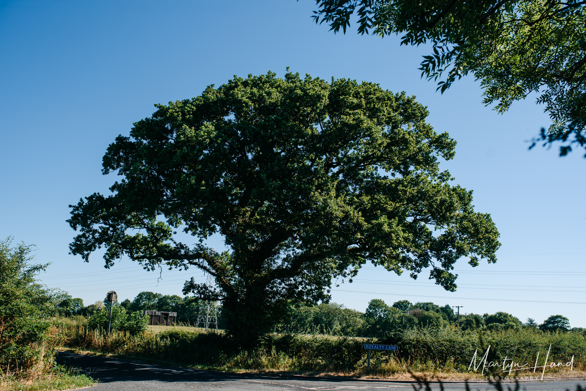 Wellbeing Farm Wedding Photographer Martyn Hand Photography