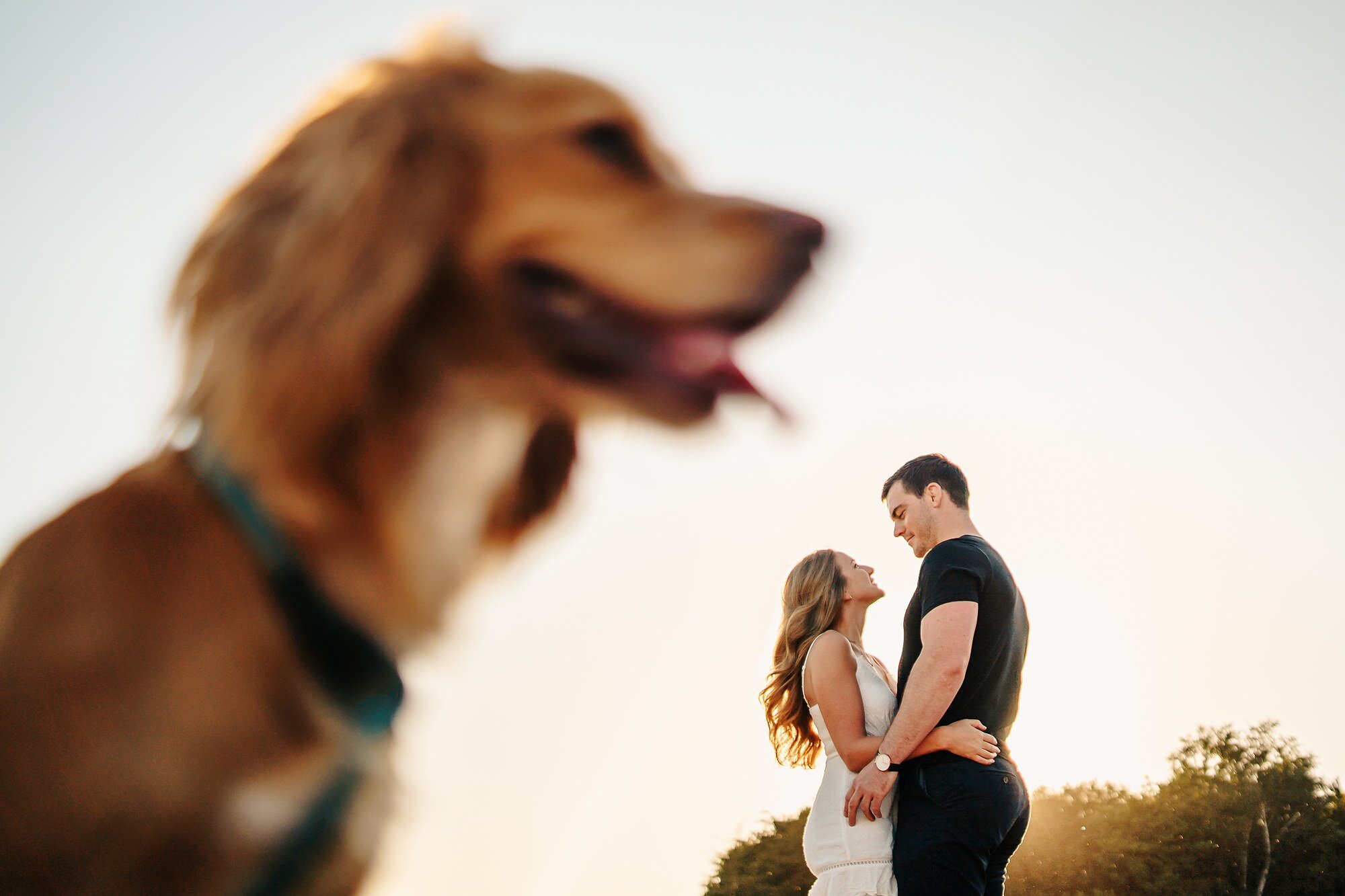  Garden Marquee Engagement Photography Yorkshire Wedding Photographer Martyn Hand Award Winning 