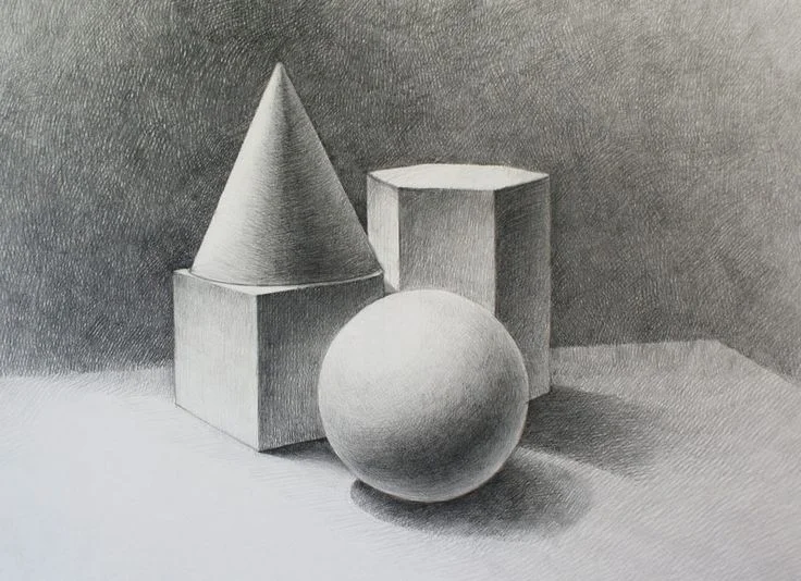 Still Life Drawing