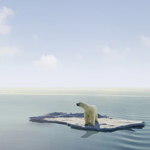 "...bullshit!...global warming is an expensive hoax." - Donald J Trump 