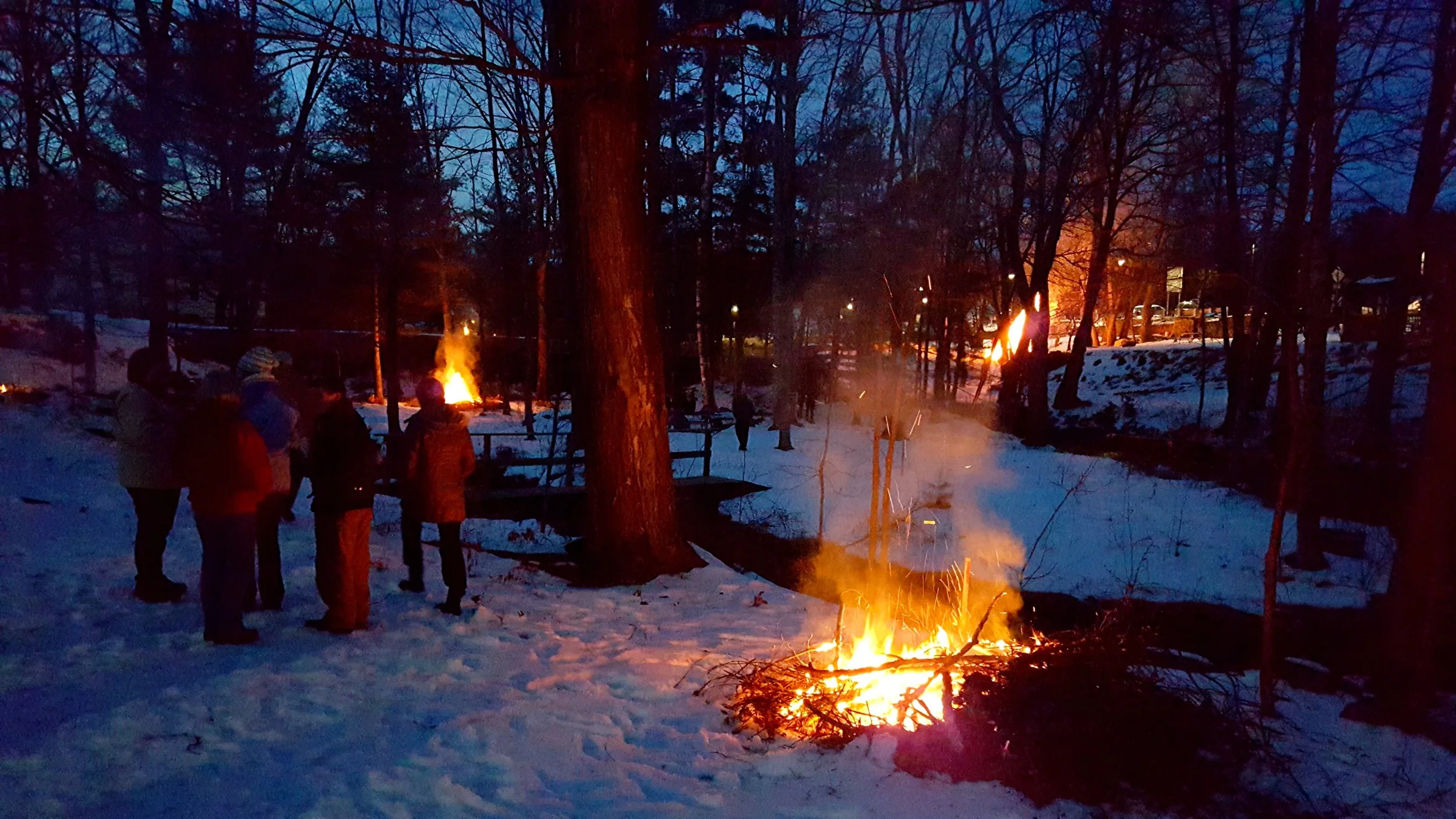 2016-01-31 17.22.57.jpg
