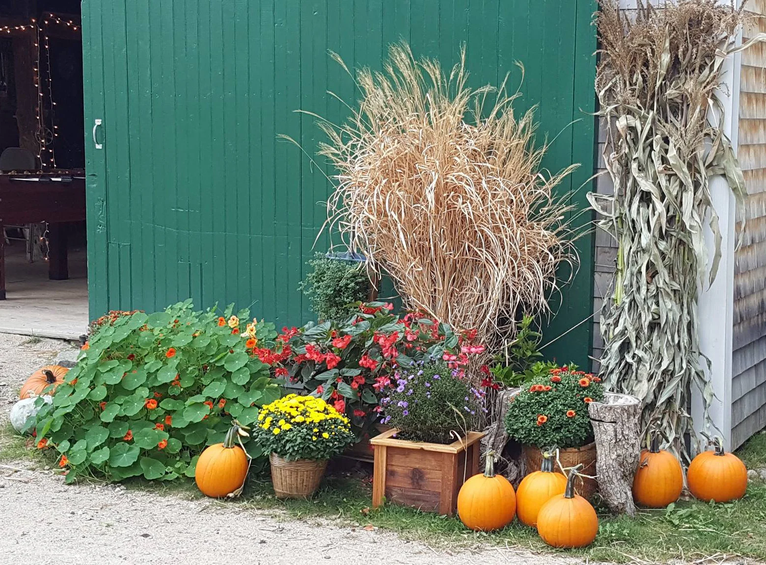 fall scene.jpg