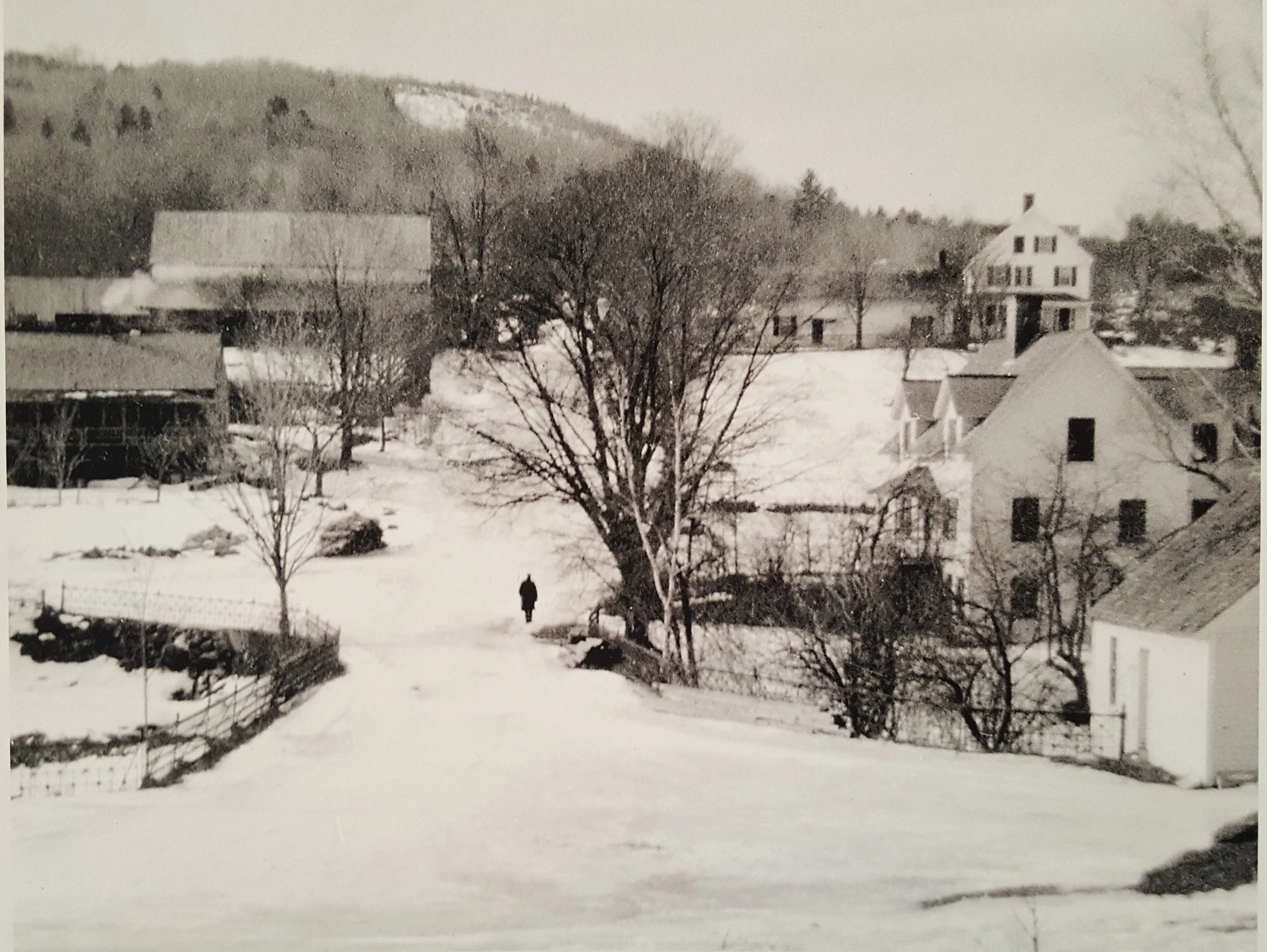 1906.jpg