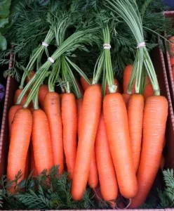 Tamworth Farmers Market @ Brett School