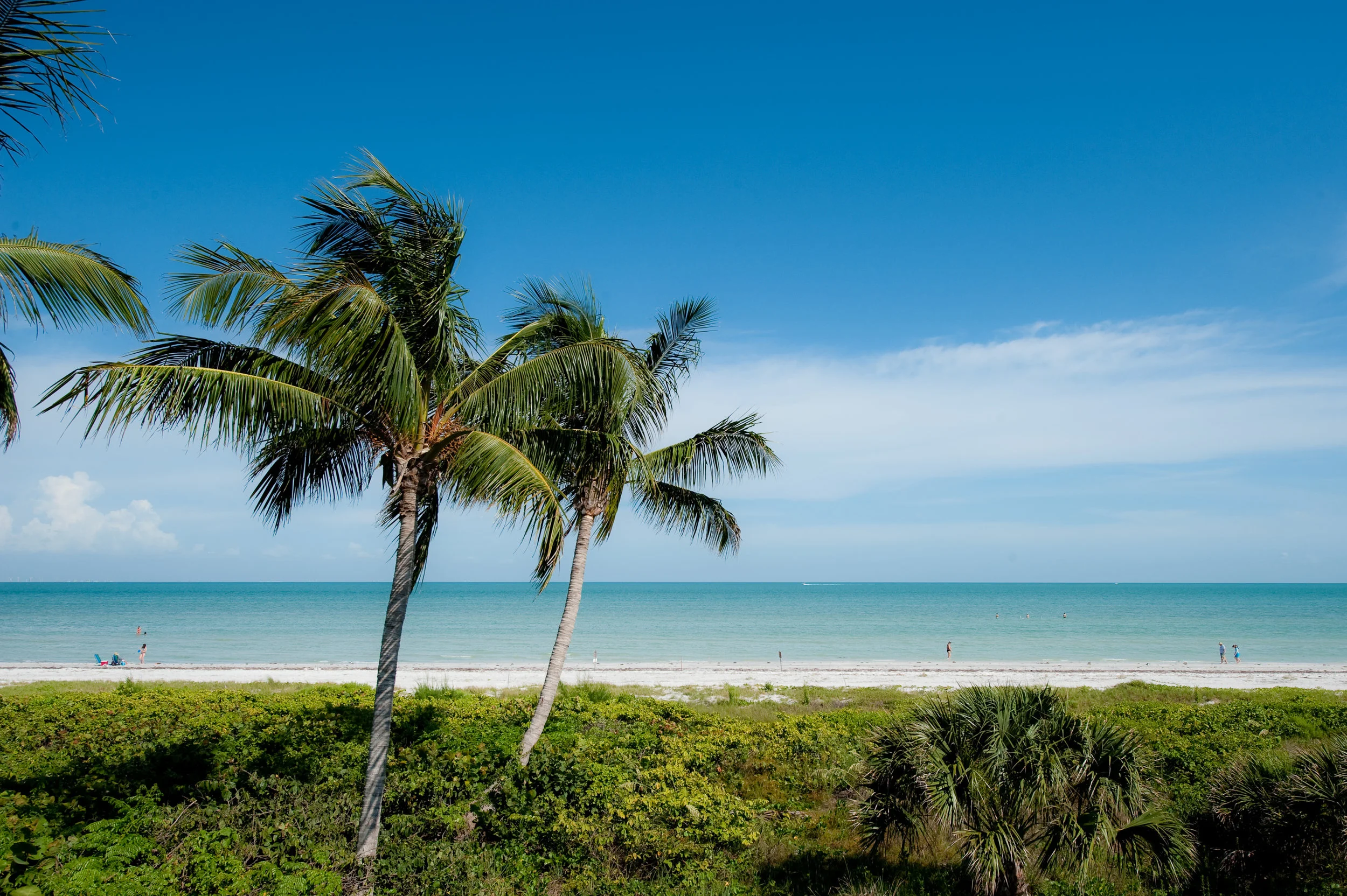 splash-compass-point-beach.jpg