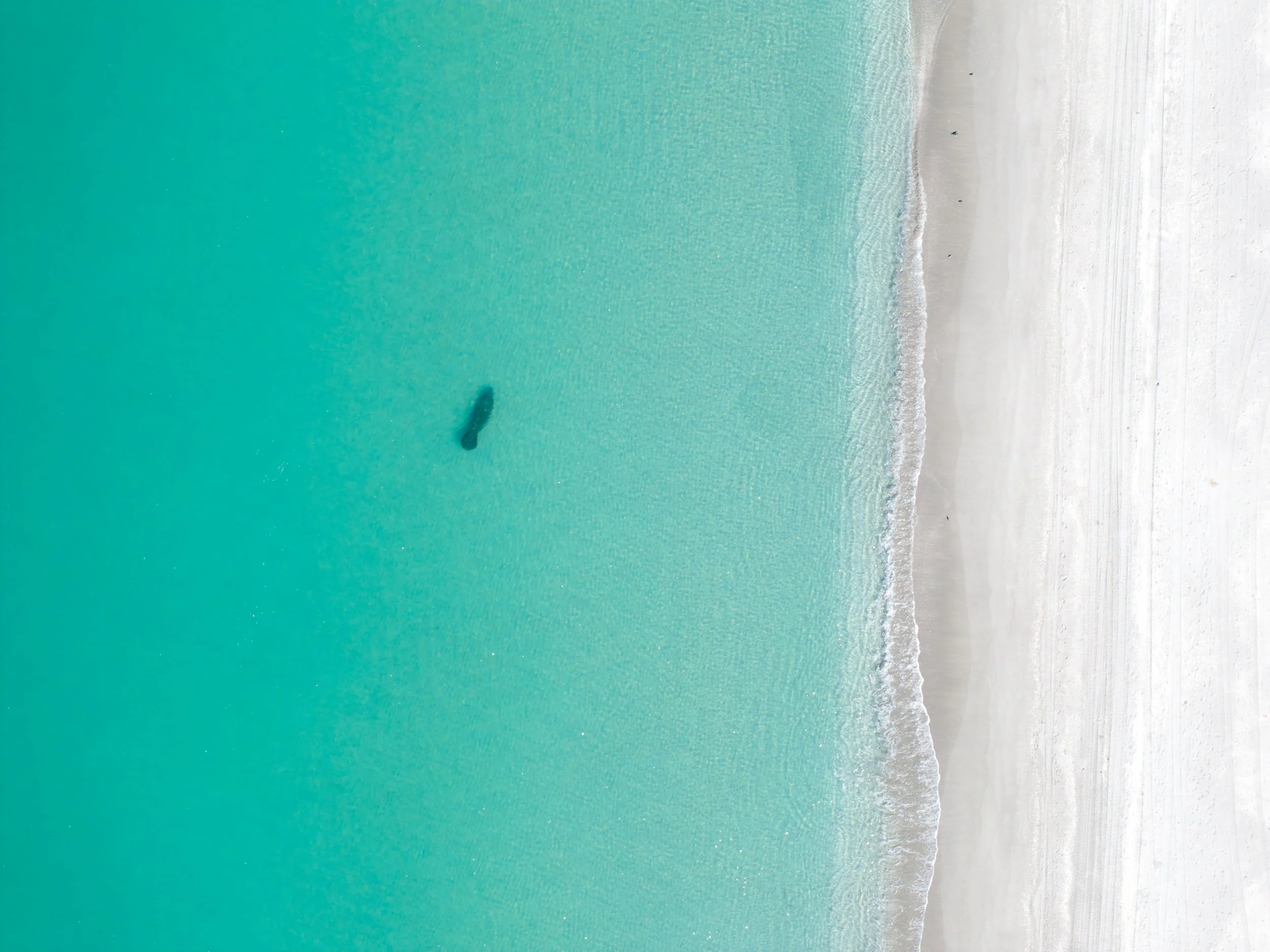 DJI_20250910065757_0404_D_SAP2023 copy 2.jpg