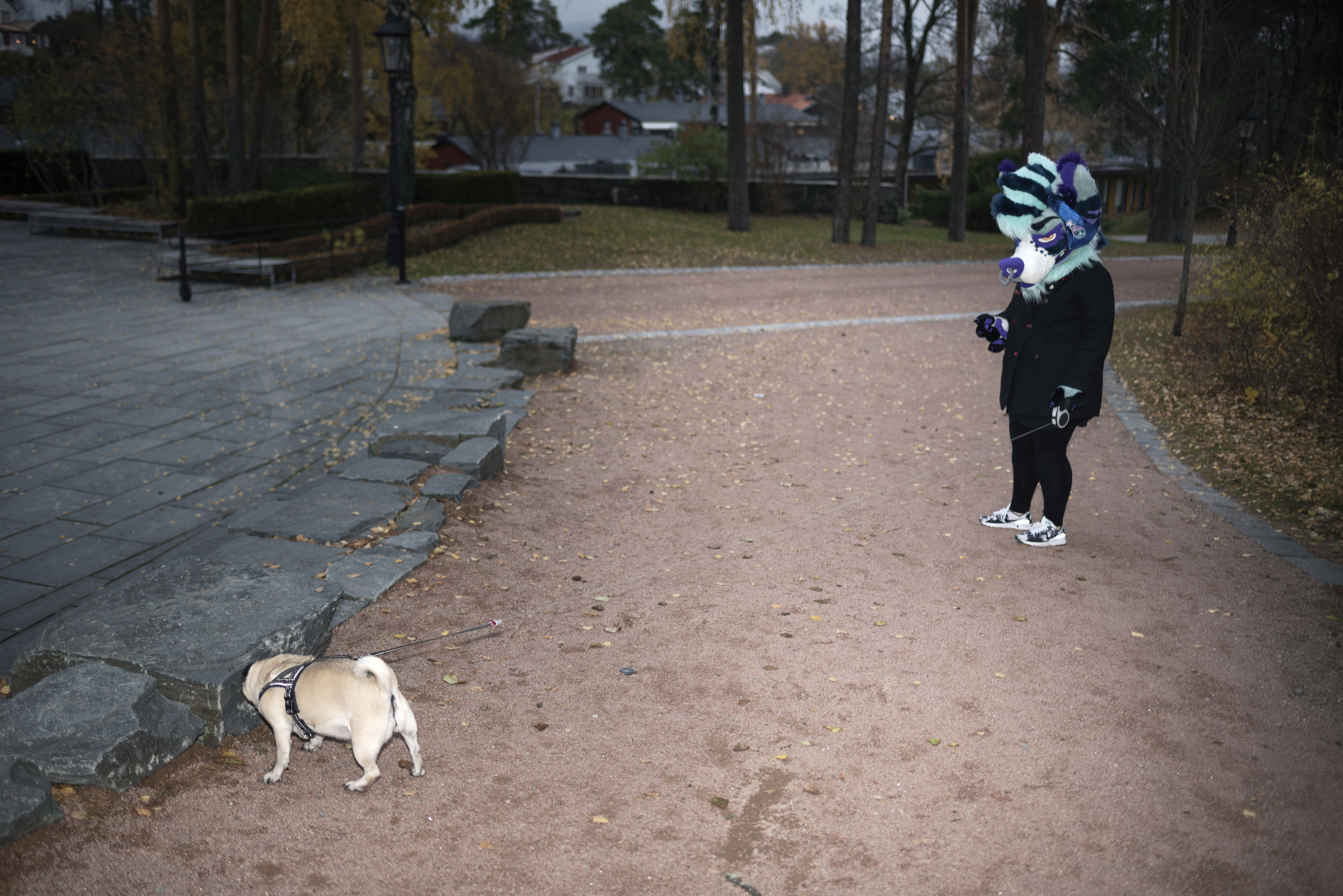  Camilla Brosstad and her dog Lotte. For VG Helg, 2018. 