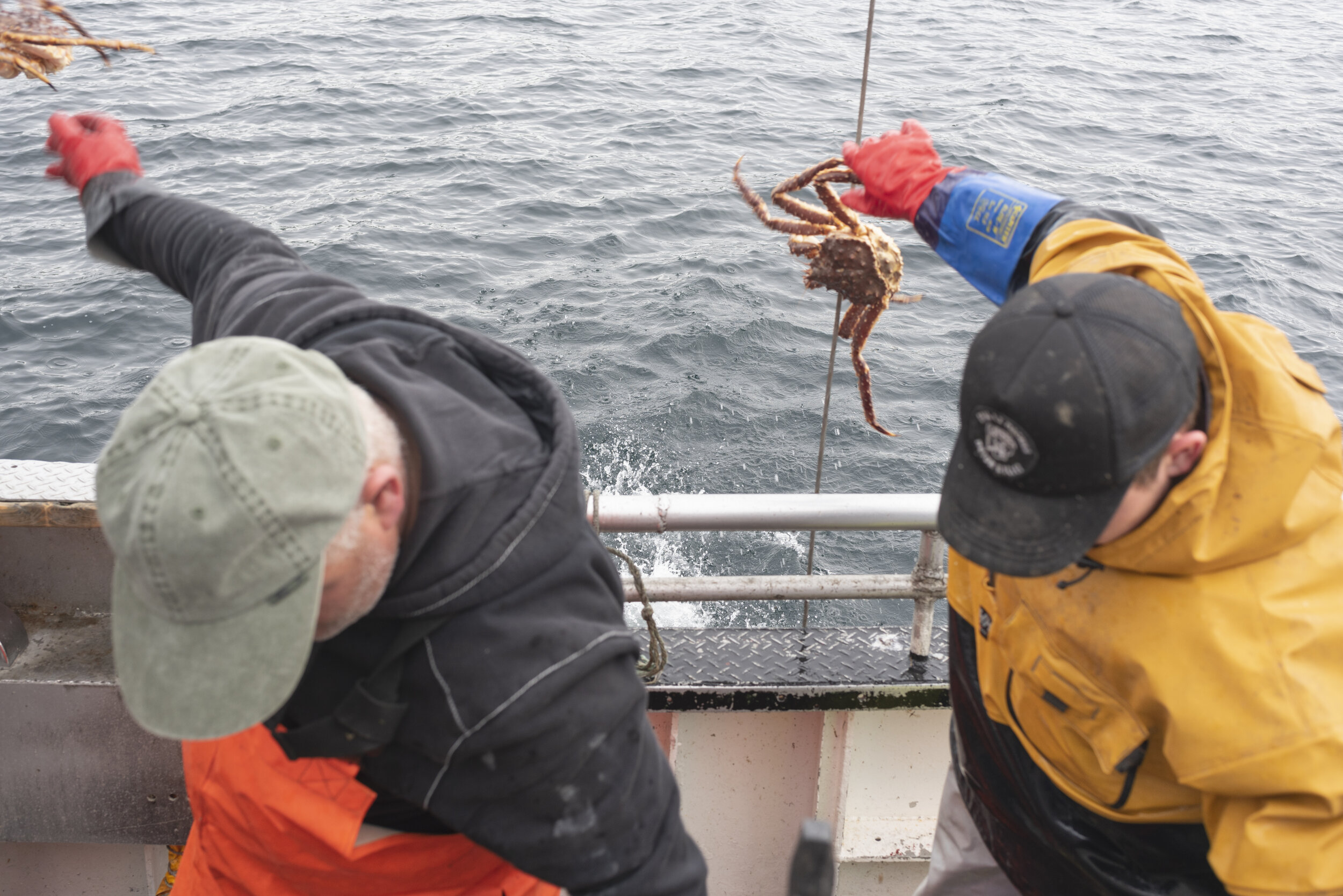  Fishing for king crab in Finnmark. For VG Helg, 2019. 