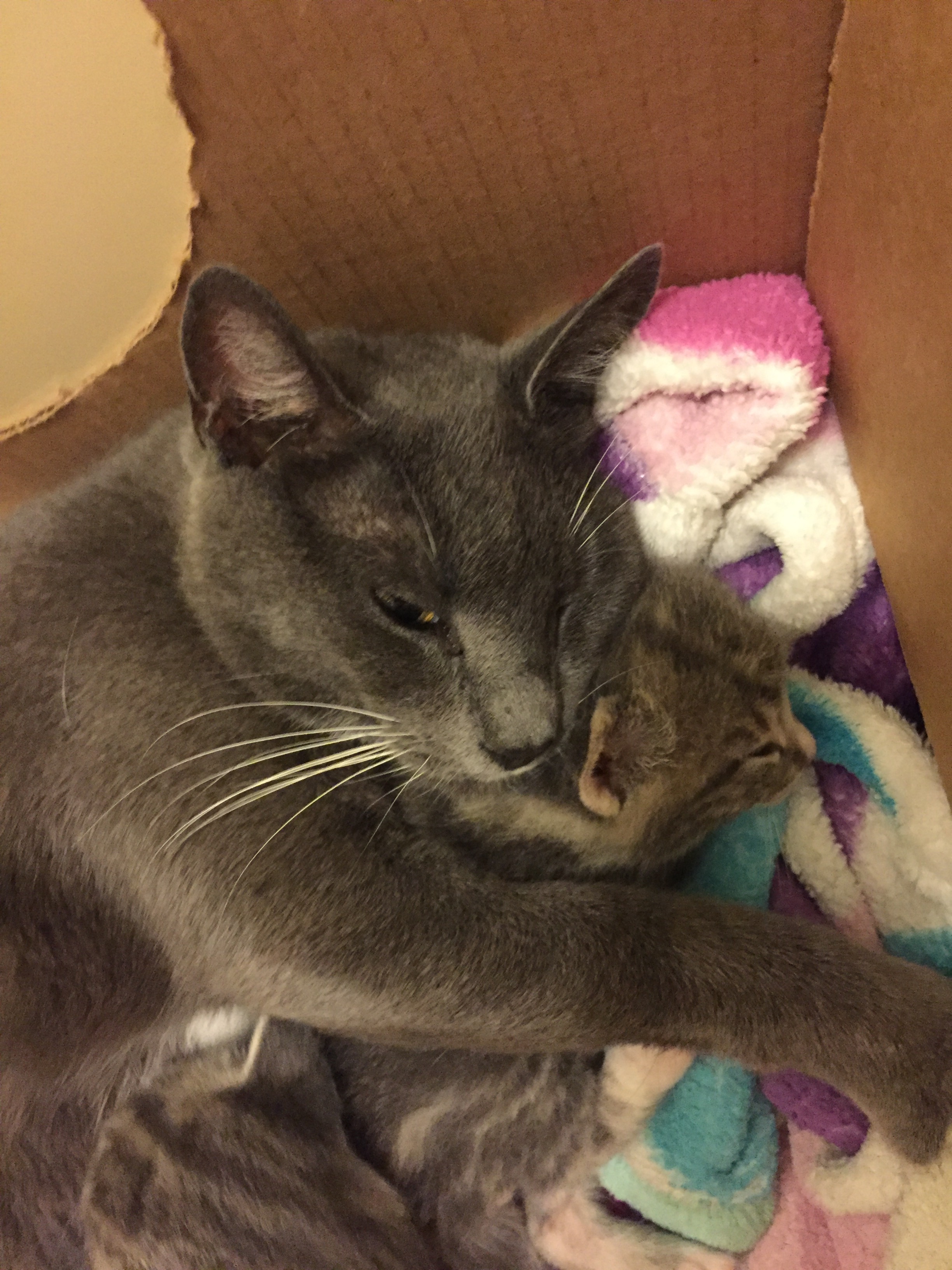 I love you Mamma, Love you too son!