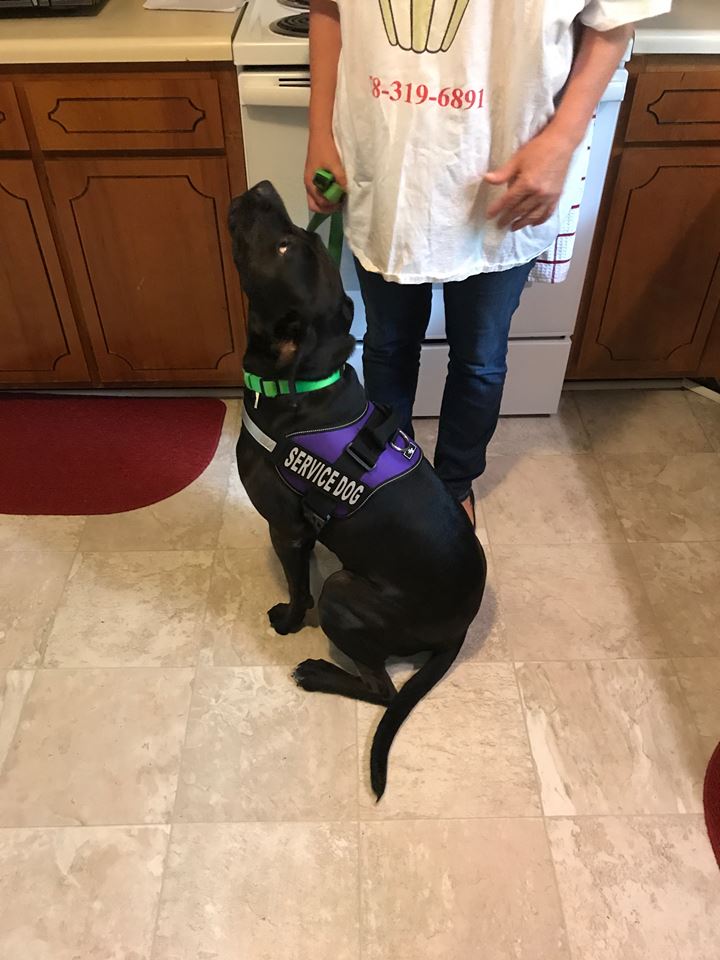 Nala 
