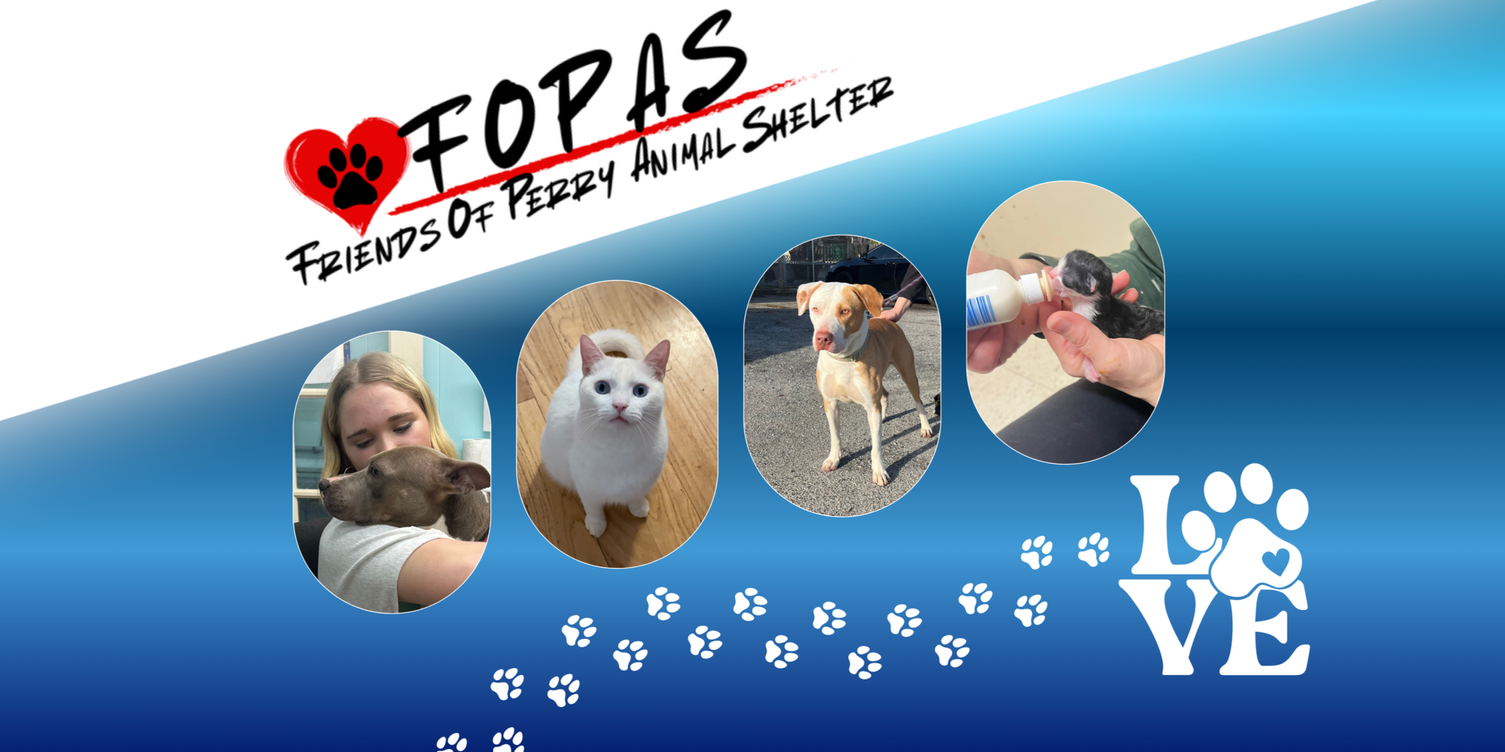 Aesthetic Shop Story Website Homepage Banner (1).png