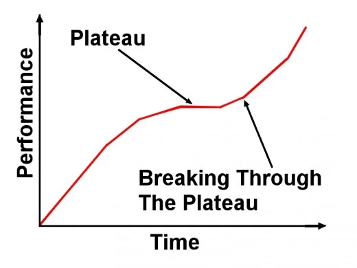 5 Ways To Overcome Plateau's