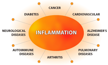 What is Inflammation, really?