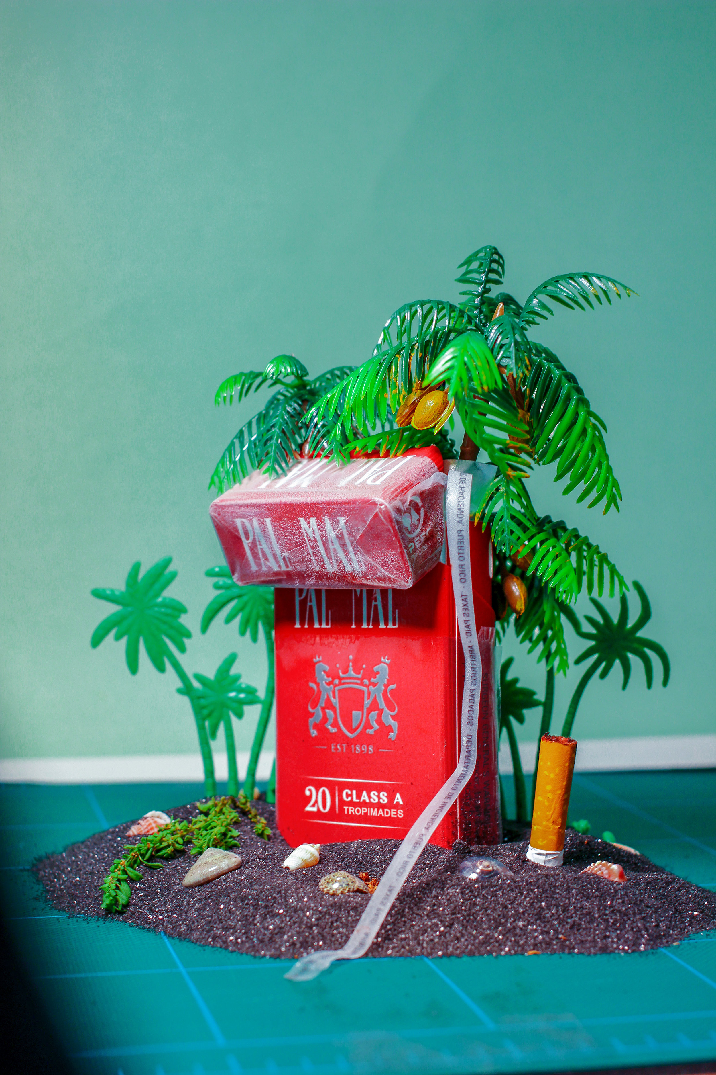 Bajo un Palmal (Under a Palm tree)