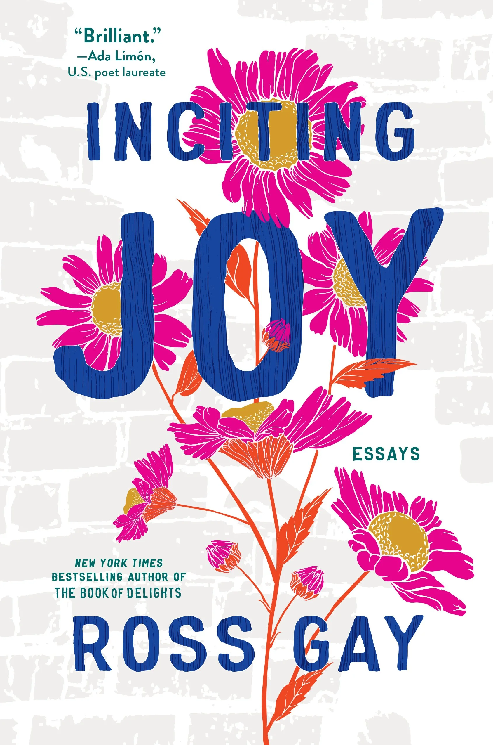 Inciting Joy