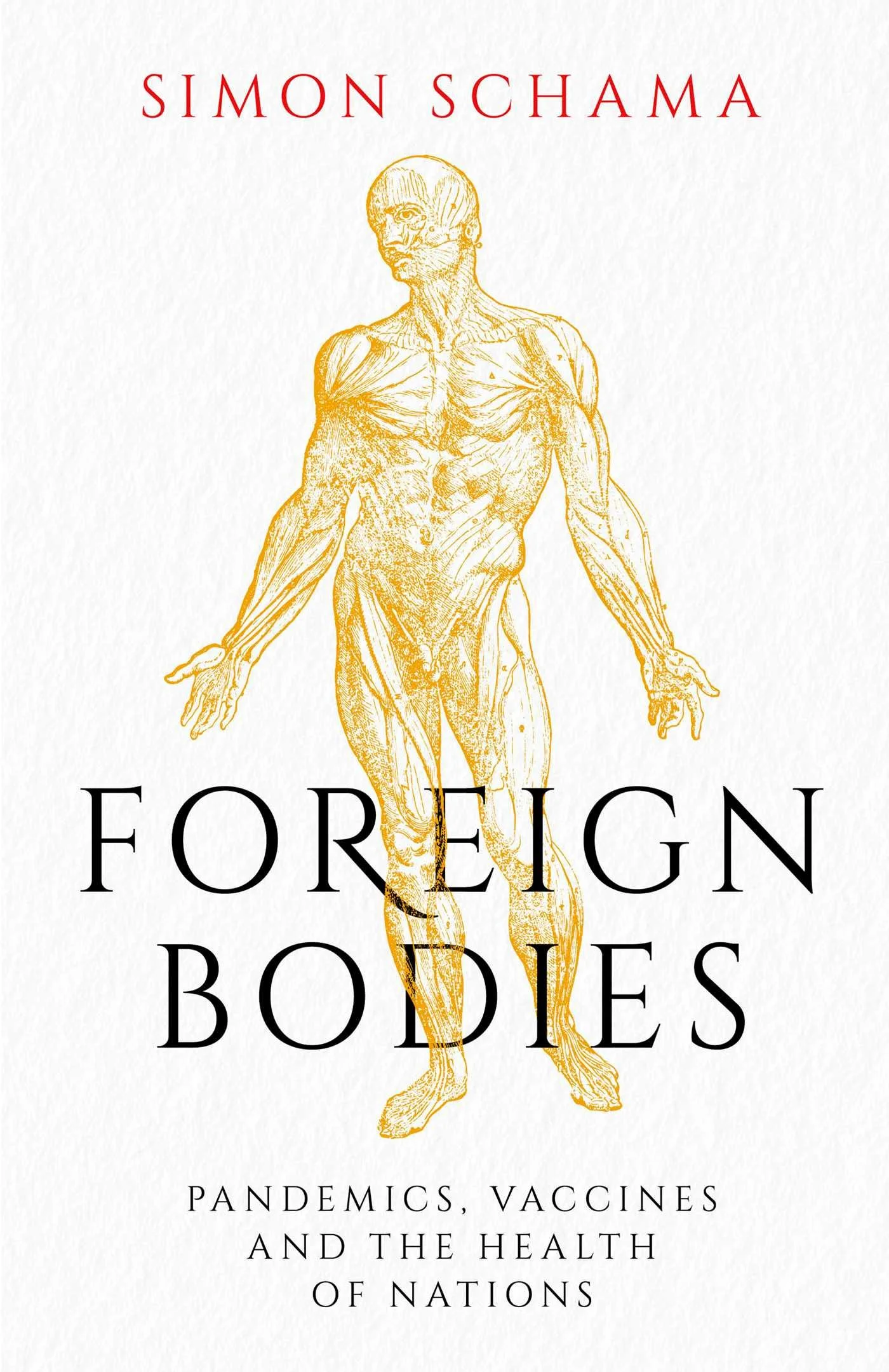 Foreign Bodies : Pandemics, Vaccines and the Health of Nations