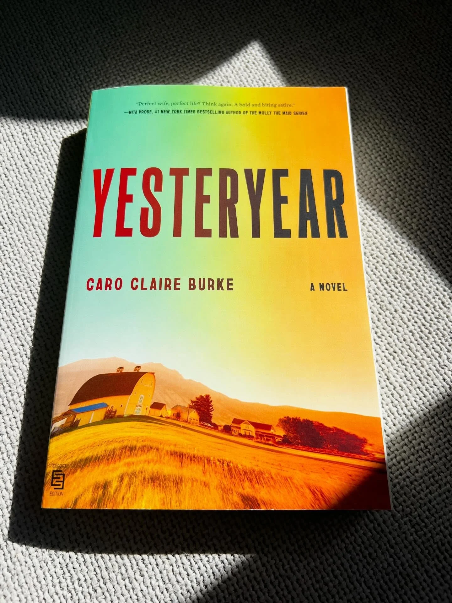 Book of the Week
Yesteryear by Cari Claire Burke
Succinctly reviewed by curious reader, and friend of the shop, Pia 🙏

&lsquo;By some estimates,&ldquo;trad wife&rdquo; is one of the fastest growing niches in the US$250 billion social media creator e