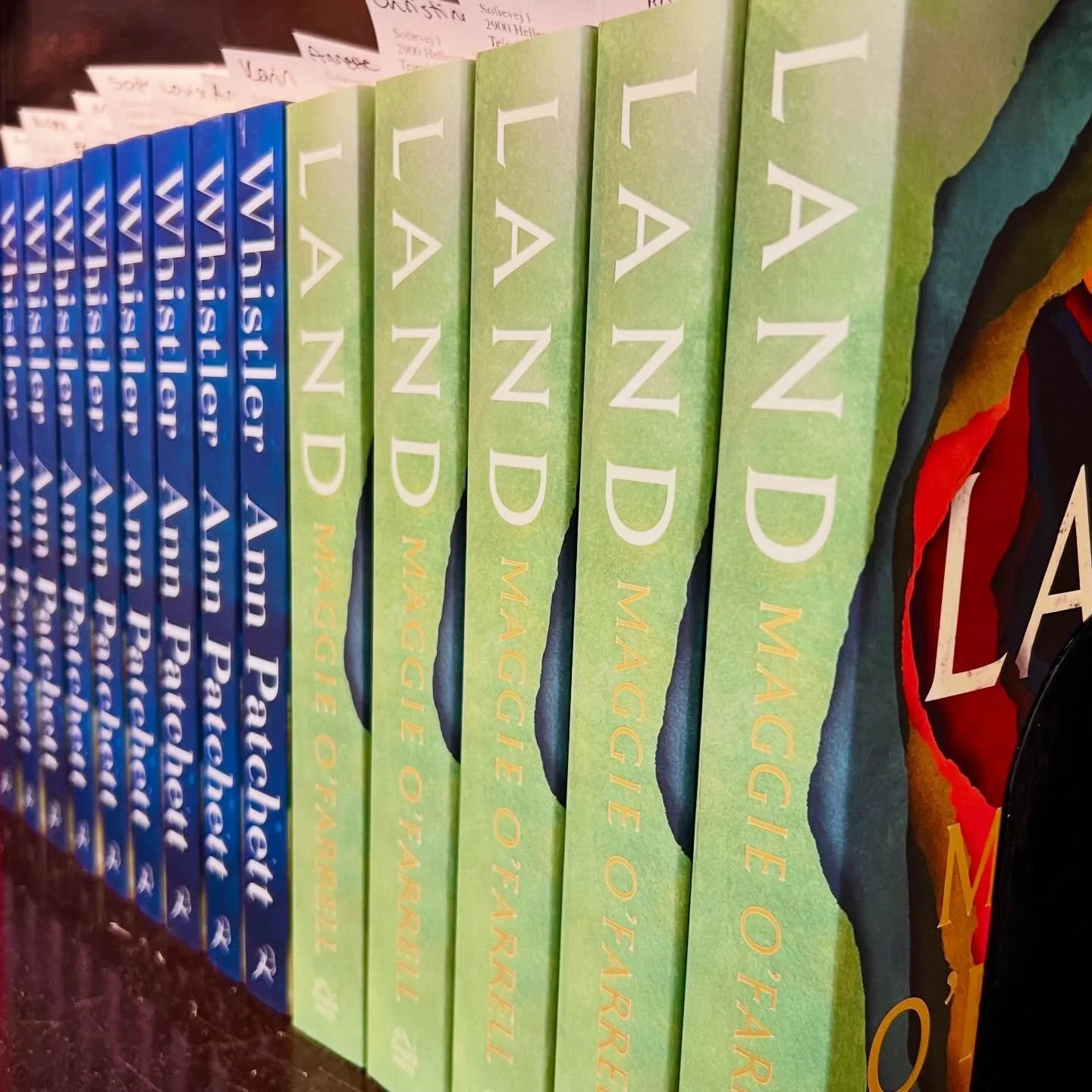 Nothing beats the excitement of customers coming in to pick up their long awaited preorders. Happy publication day to two of the most anticipated books of the summer ☀️ Ann Patchett&rsquo;s &lsquo;Whistler&rsquo; and Maggie O&rsquo;Farrell&rsquo;s &l