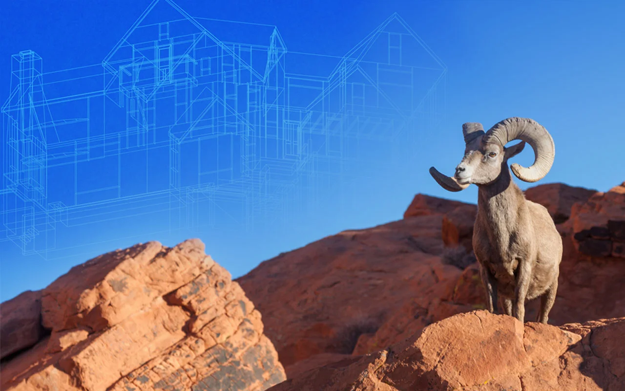 BigHorn.banner.final_3a.jpg