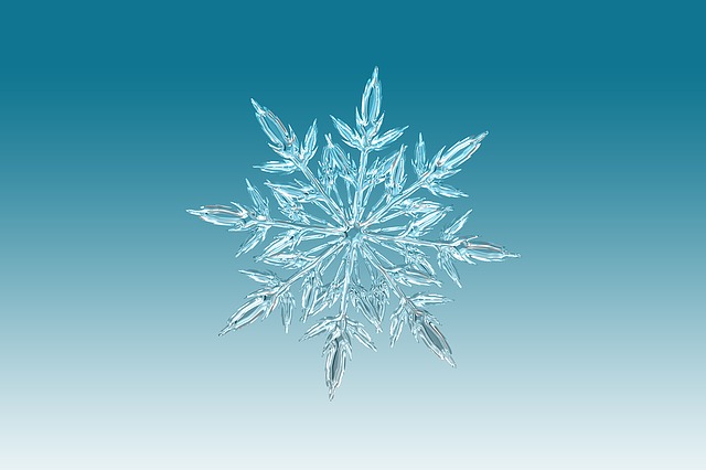 Christmas Musical (First Preview)