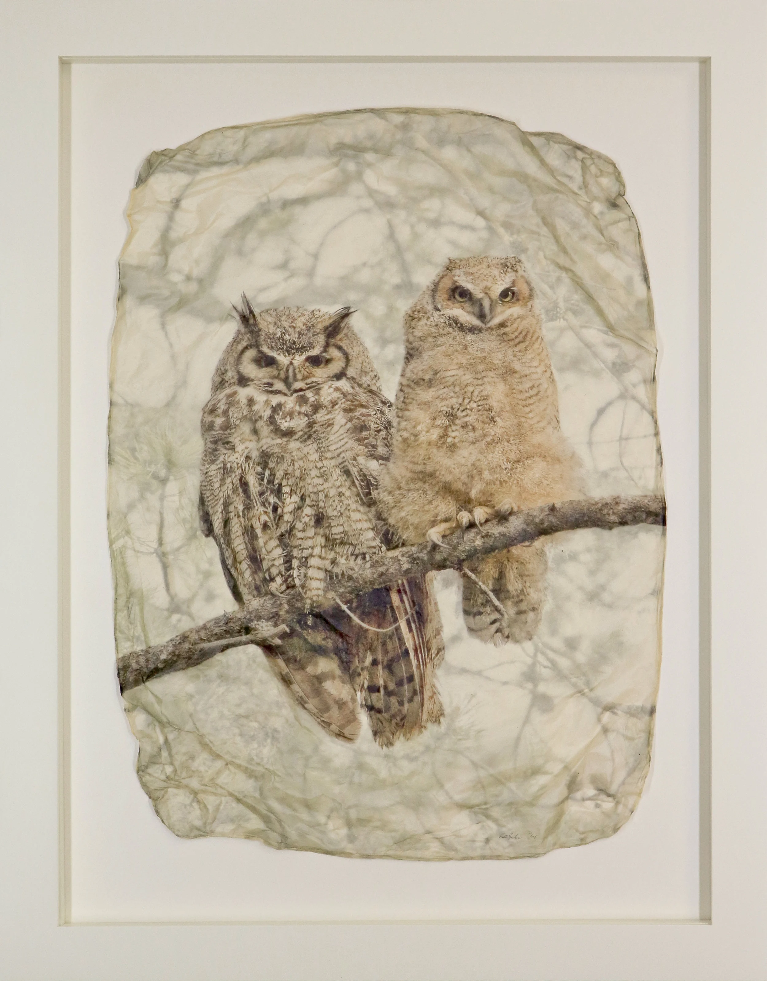 Owl Pair