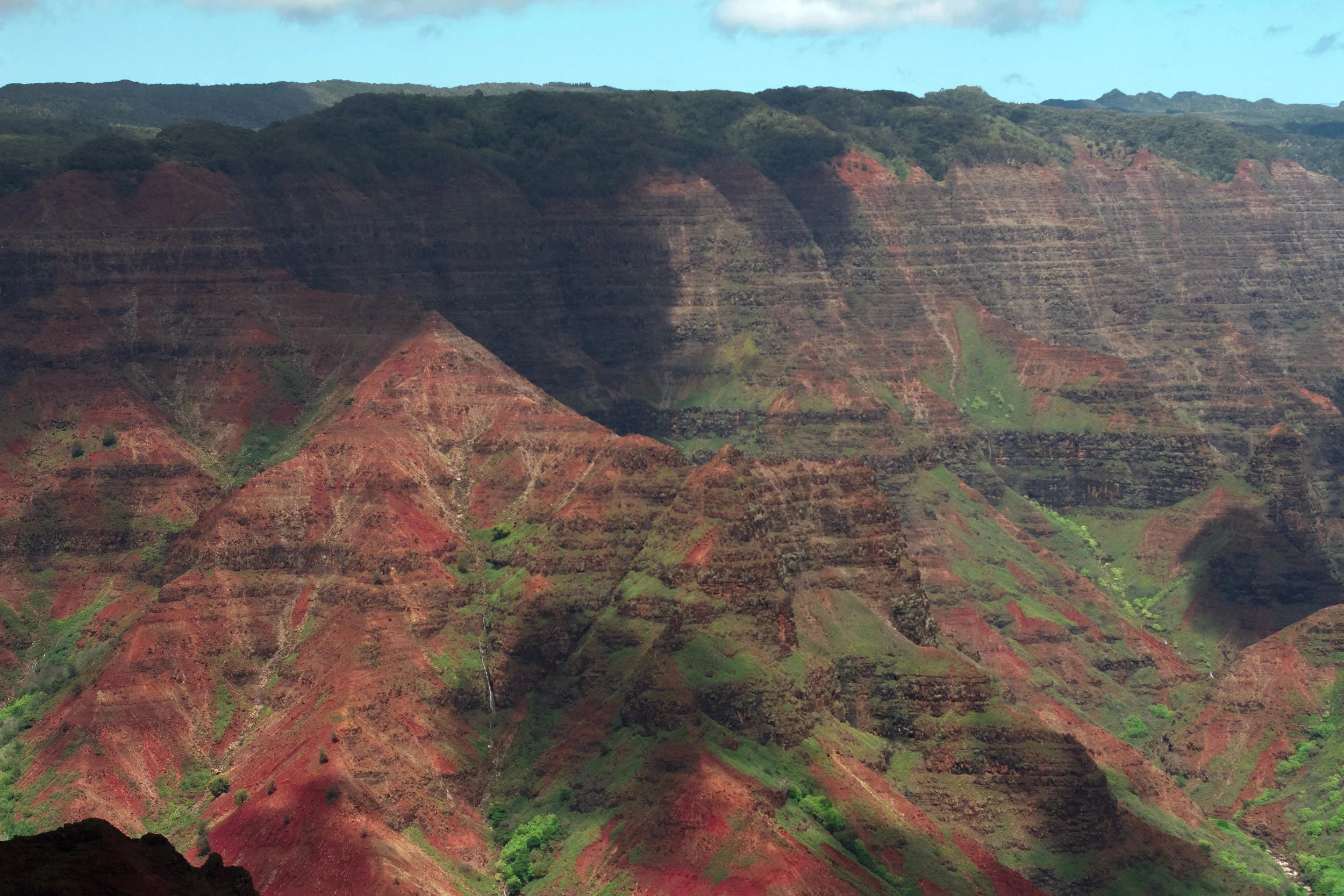 Hawaii Edits-5891.jpg
