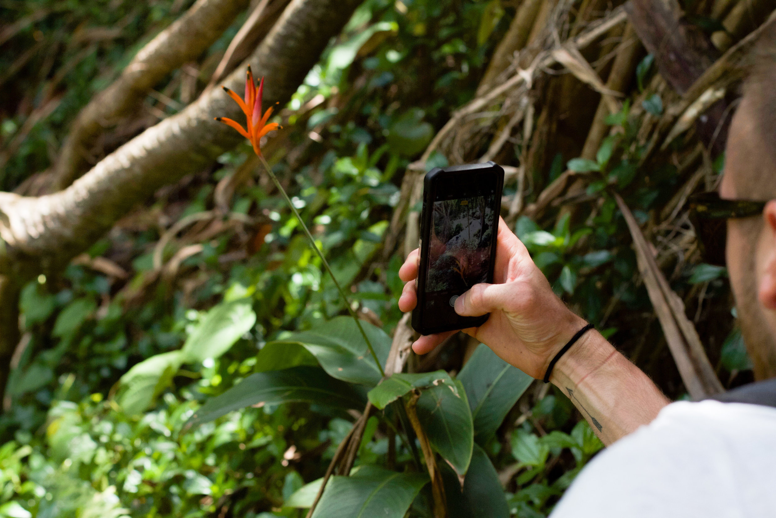 Shon doing it for the Gram