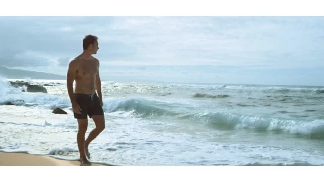 Conrad 1/3/5 Moment - Turtle