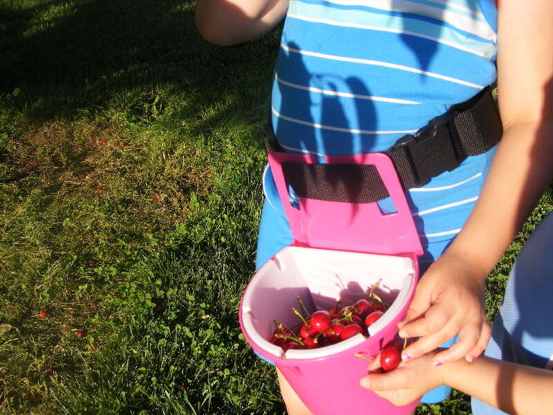 Give Me a Cherry.JPG