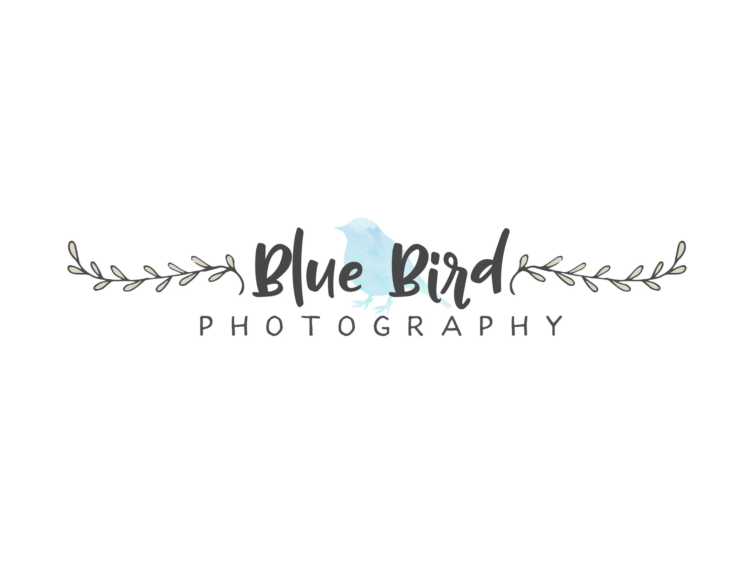 blue bird logo 1.jpg