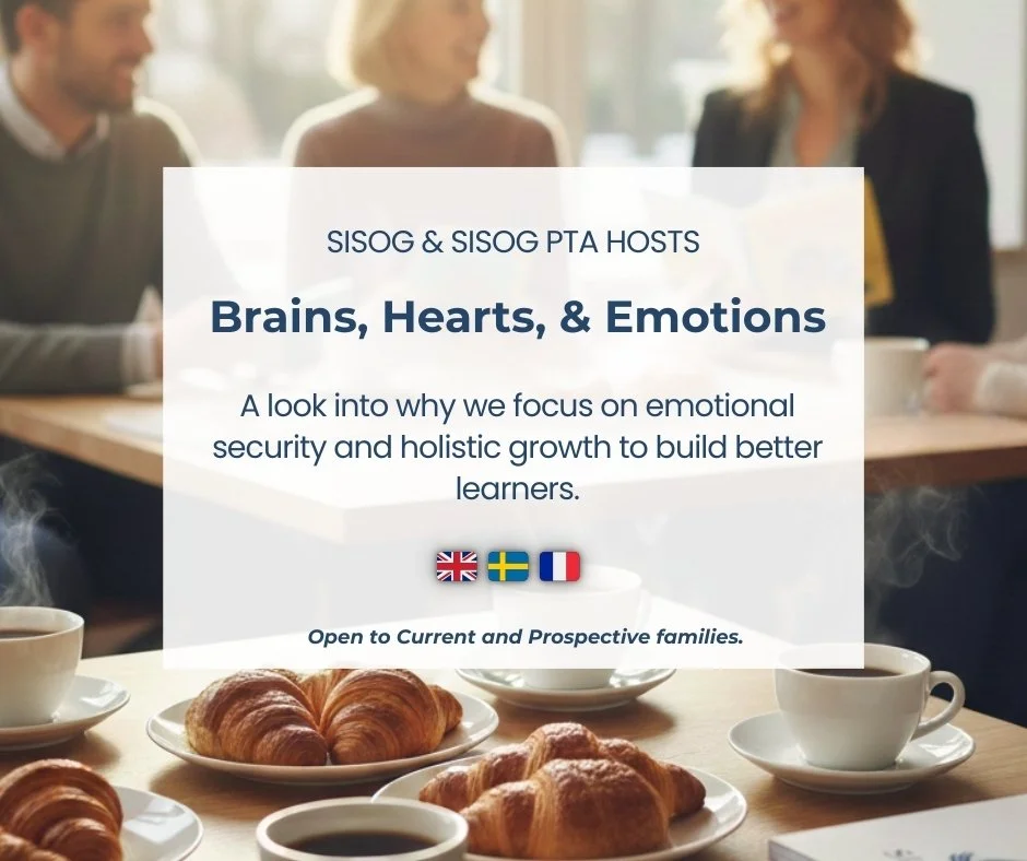 My Child, Their Brain, and Their Emotions