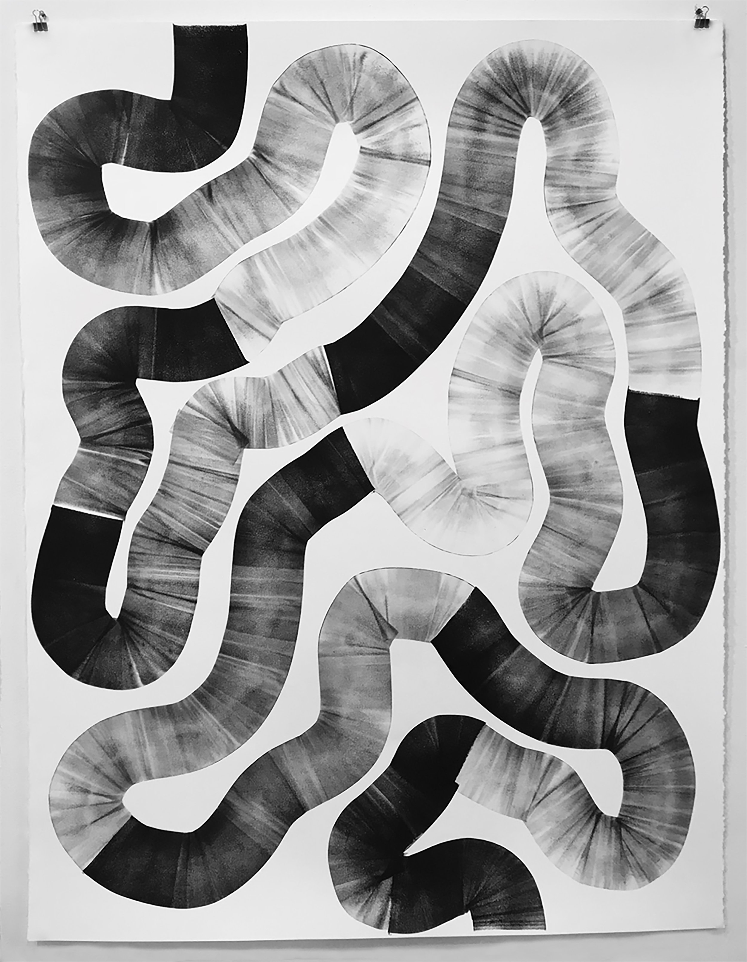  Watching a Snake Snake Through the Plane, 2018, litho ink on paper, 50 x 38 inches (unframed) 