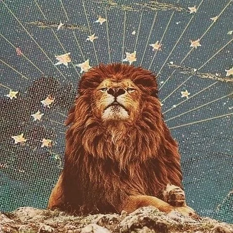 Rise + Shine : New Moon in Leo Radiance Circle