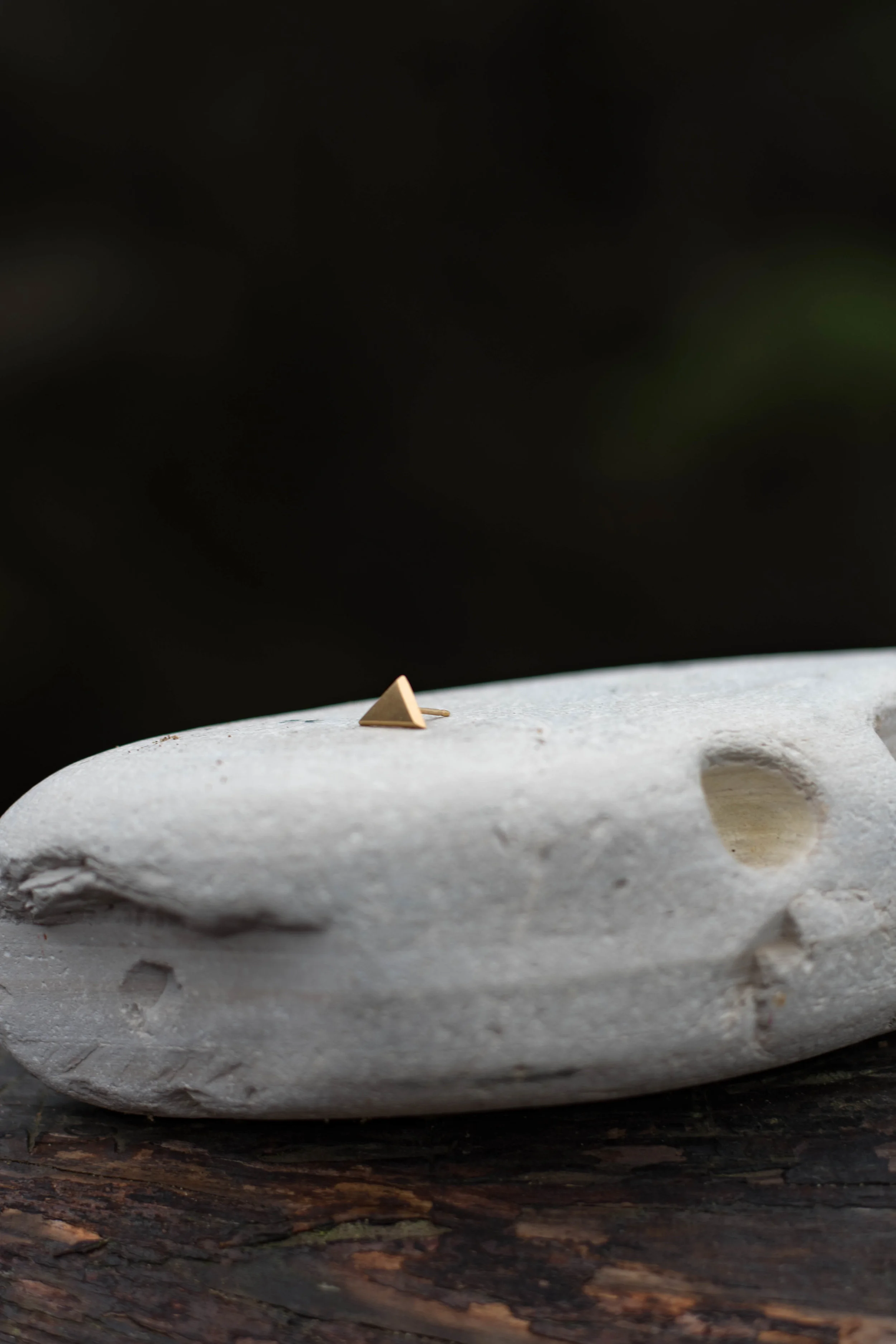 DSC_0403.jpg
