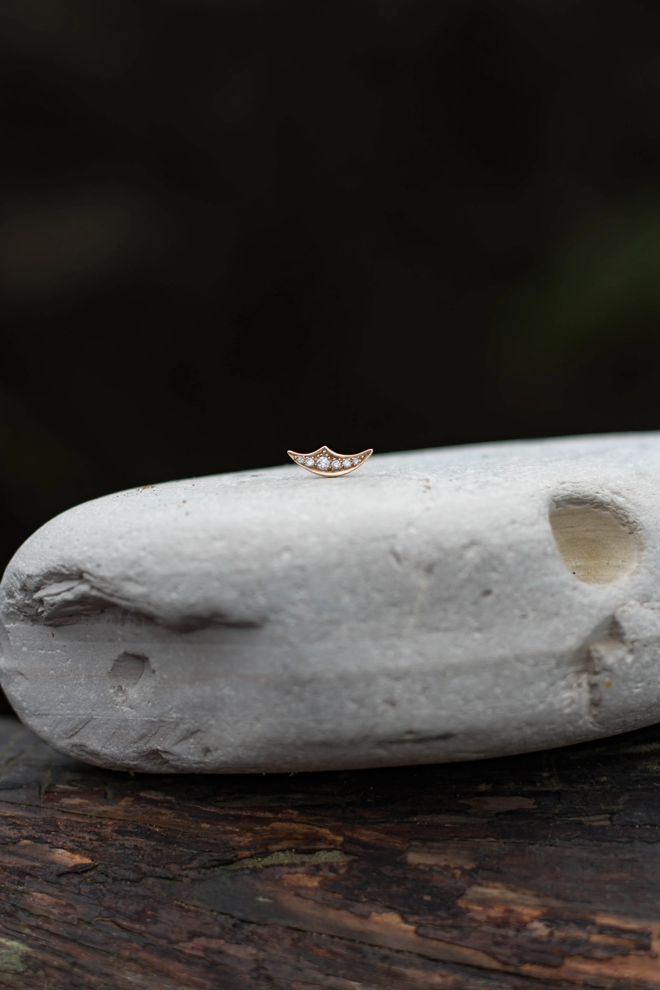 DSC_0415.jpg