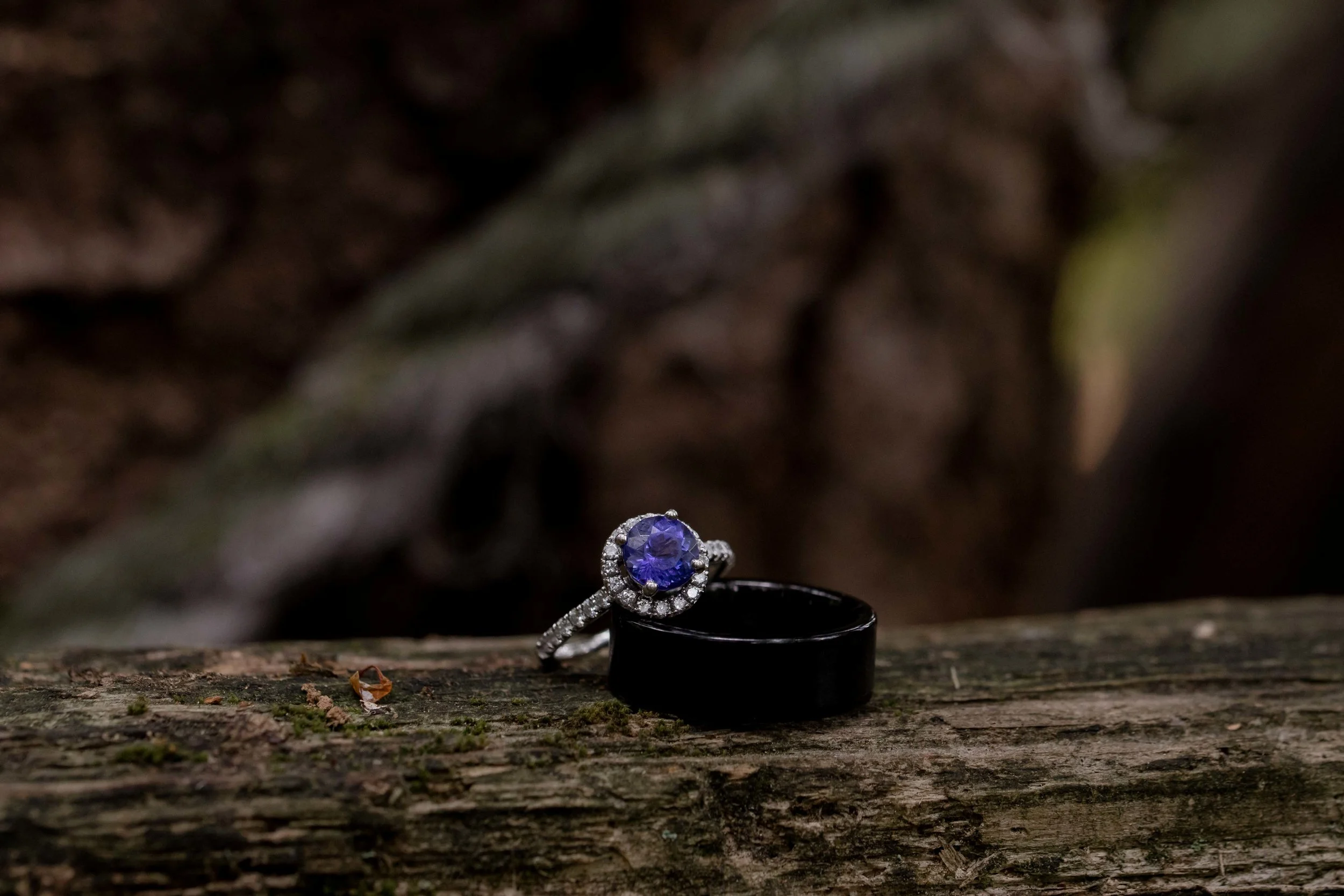 2019 SSW Website 0001.jpg