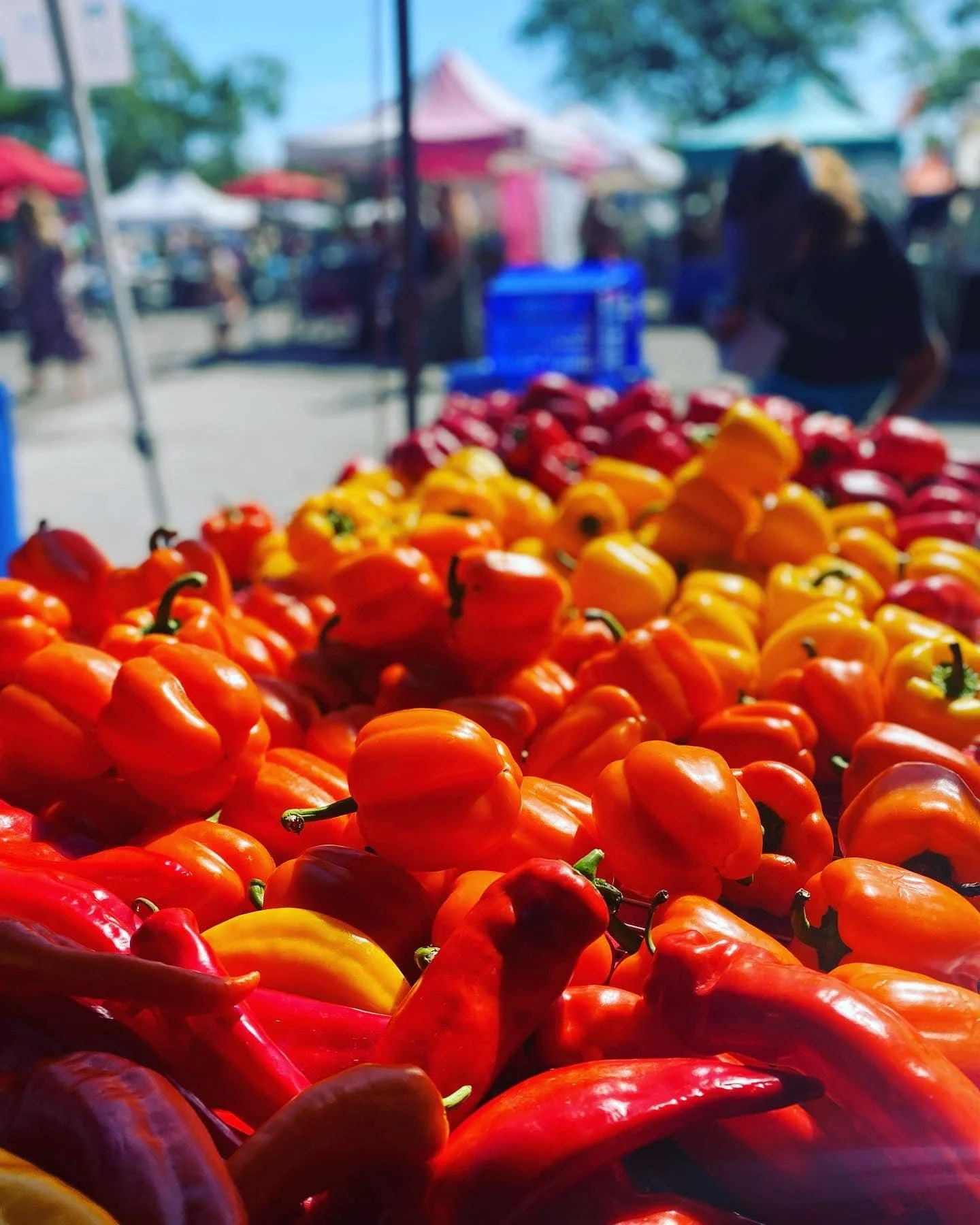 peppers.jpg