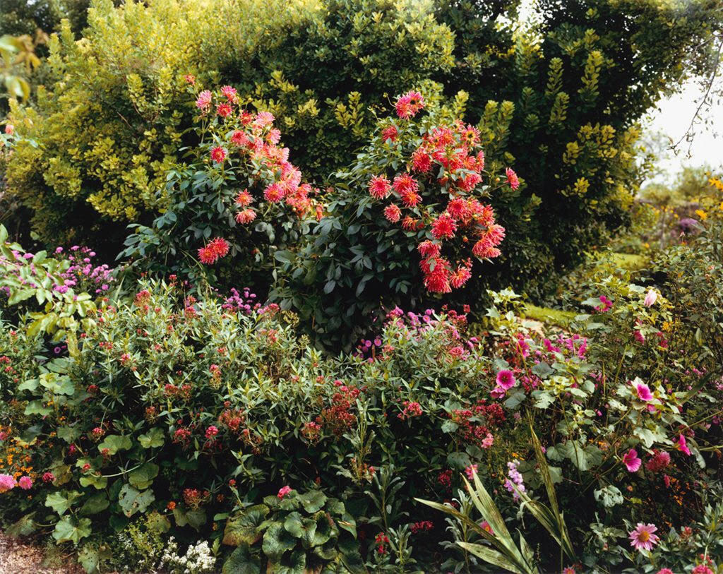 Stephen Shore