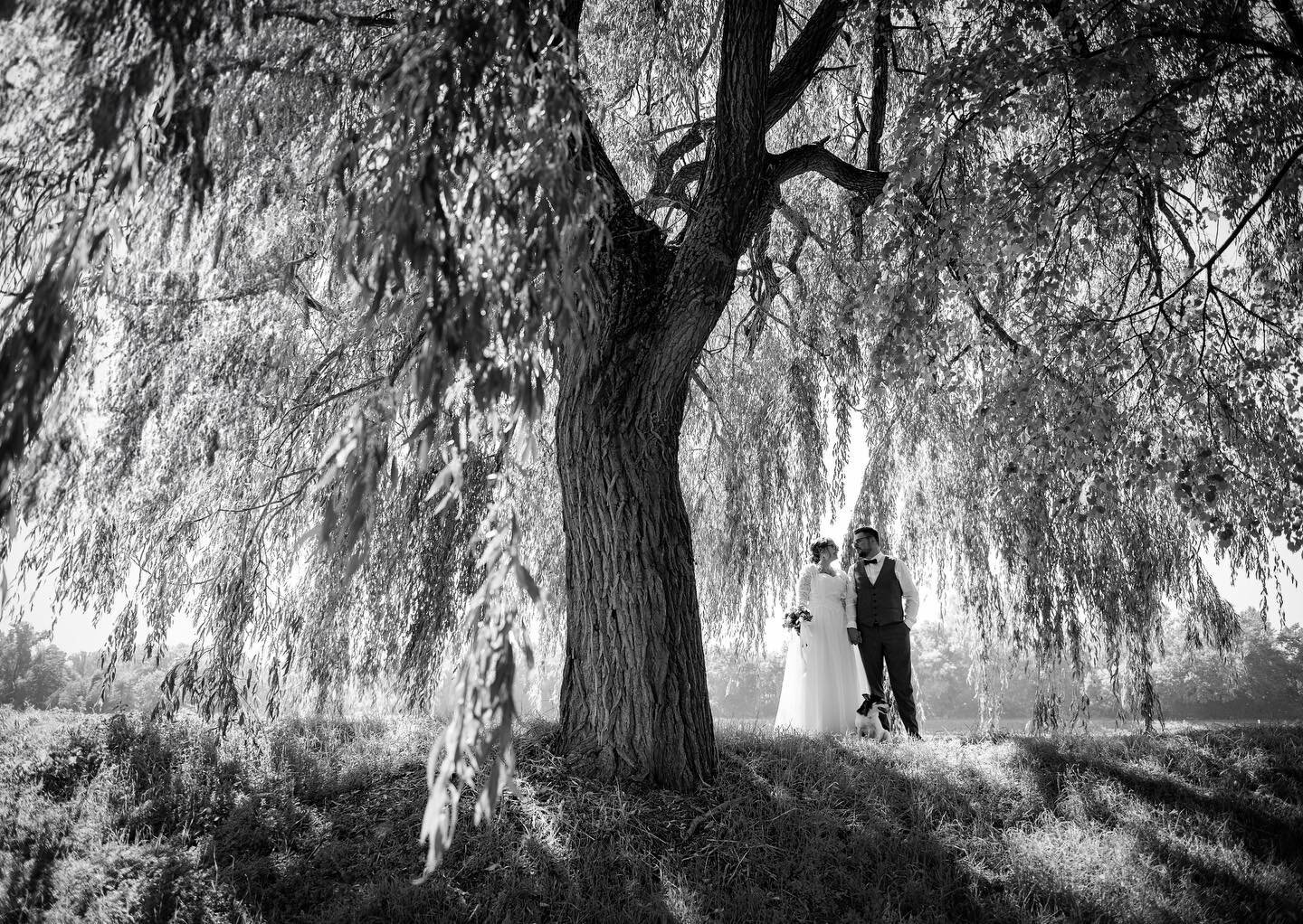 Wie findet ihr Hochzeitsbilder in schwarz-wei&szlig;? Ich mag es nach wie vor sehr!
Dieses Bild entstand im Sommer 2023 hier in Altlussheim am Rhein!

#sommerhochzeit #hochzeitsfotografin #altlussheim #neulussheim