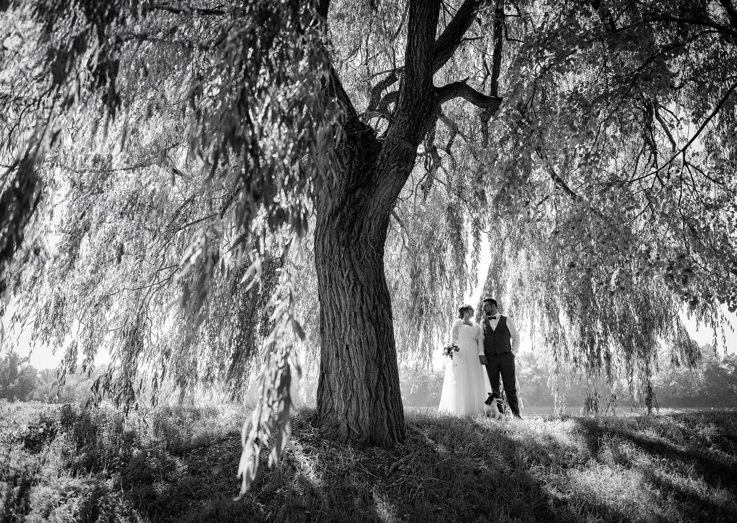Wie findet ihr Hochzeitsbilder in schwarz-wei&szlig;? Ich mag es nach wie vor sehr!
Dieses Bild entstand im Sommer 2023 hier in Altlussheim am Rhein!

#sommerhochzeit #hochzeitsfotografin #altlussheim #neulussheim