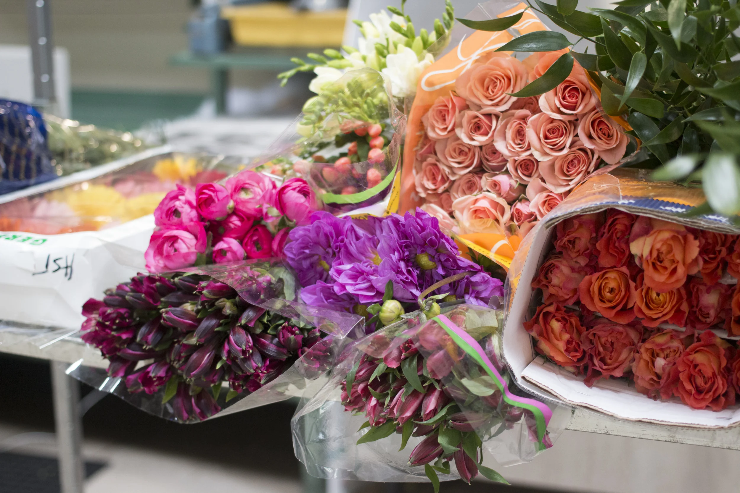 THE MEANING BEHIND THE FLOWERS YOU RECEIVE THIS VALENTINE’S DAY