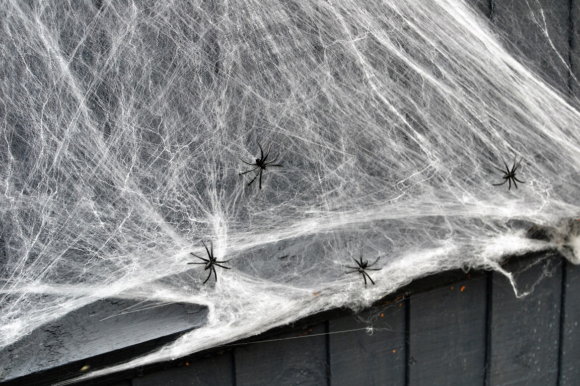 Fake spiders.jpg