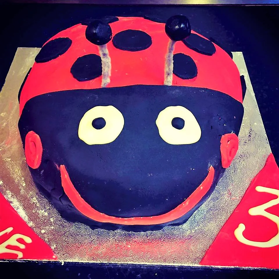 Kate's Gaston The Ladybird cake!