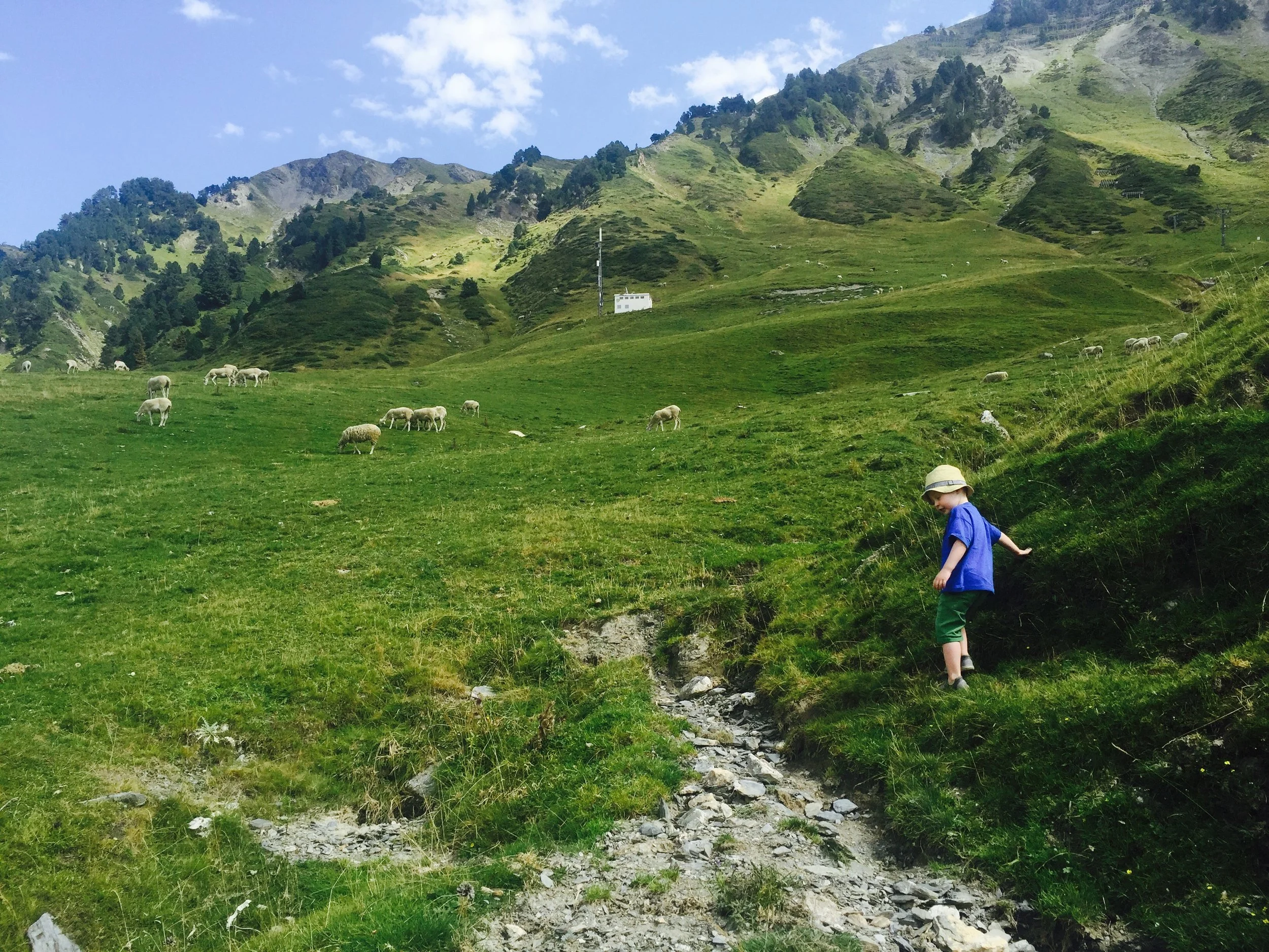 Frolicking in the mountains. THAT'S what its all about!