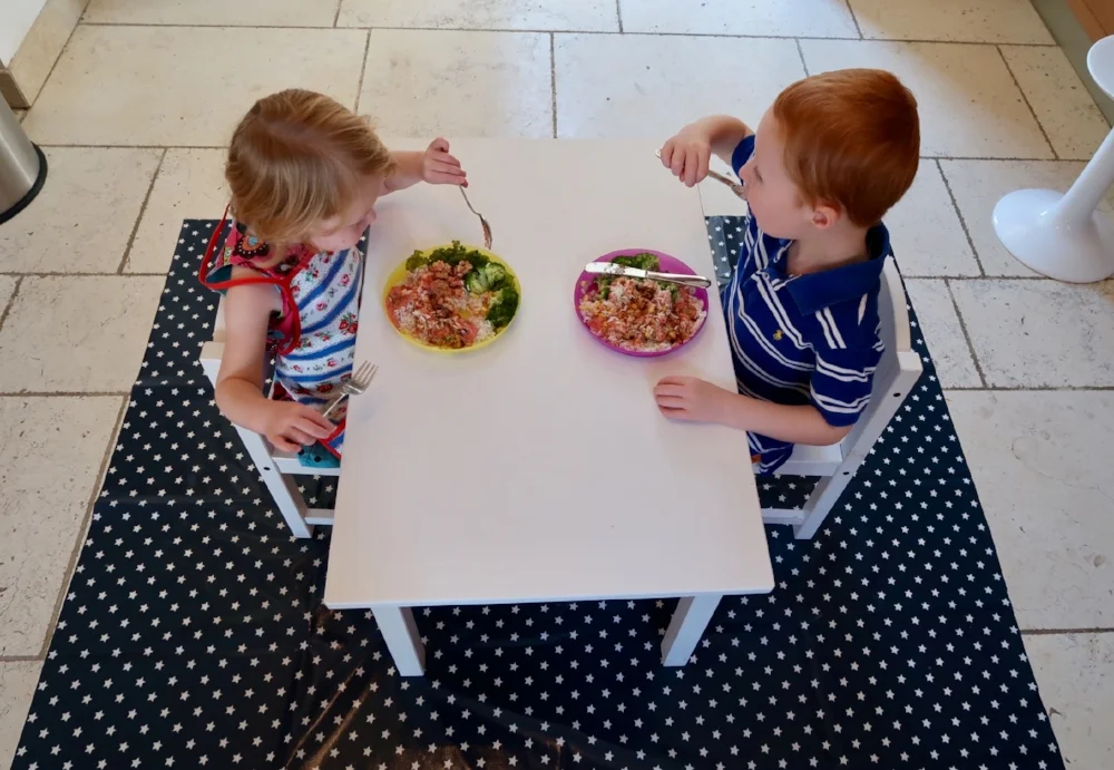 Review Of Oilcloth Table Protectors And Messy Mats From Messy Me