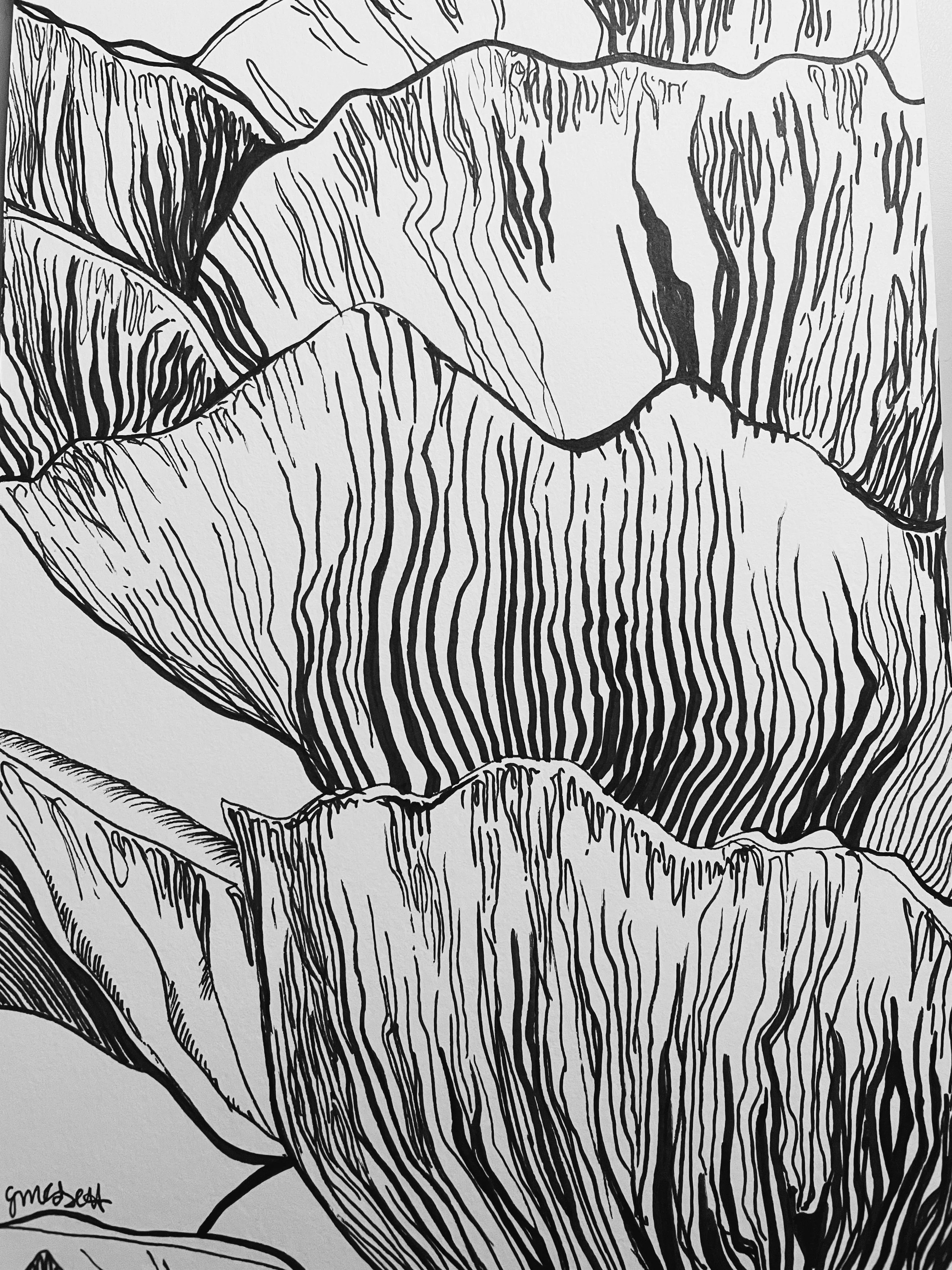 Mushroom illustration