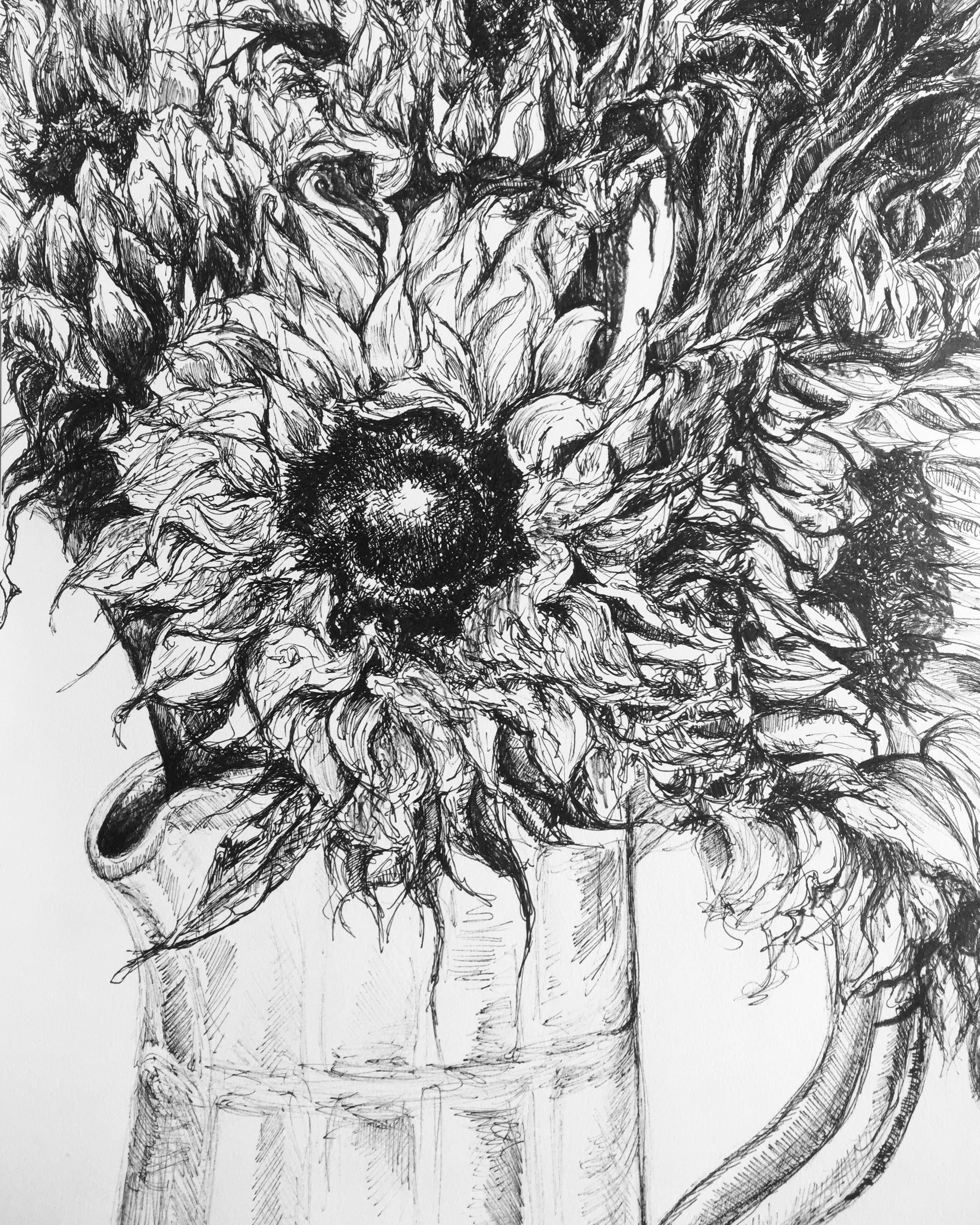 Sunflowers life drawing