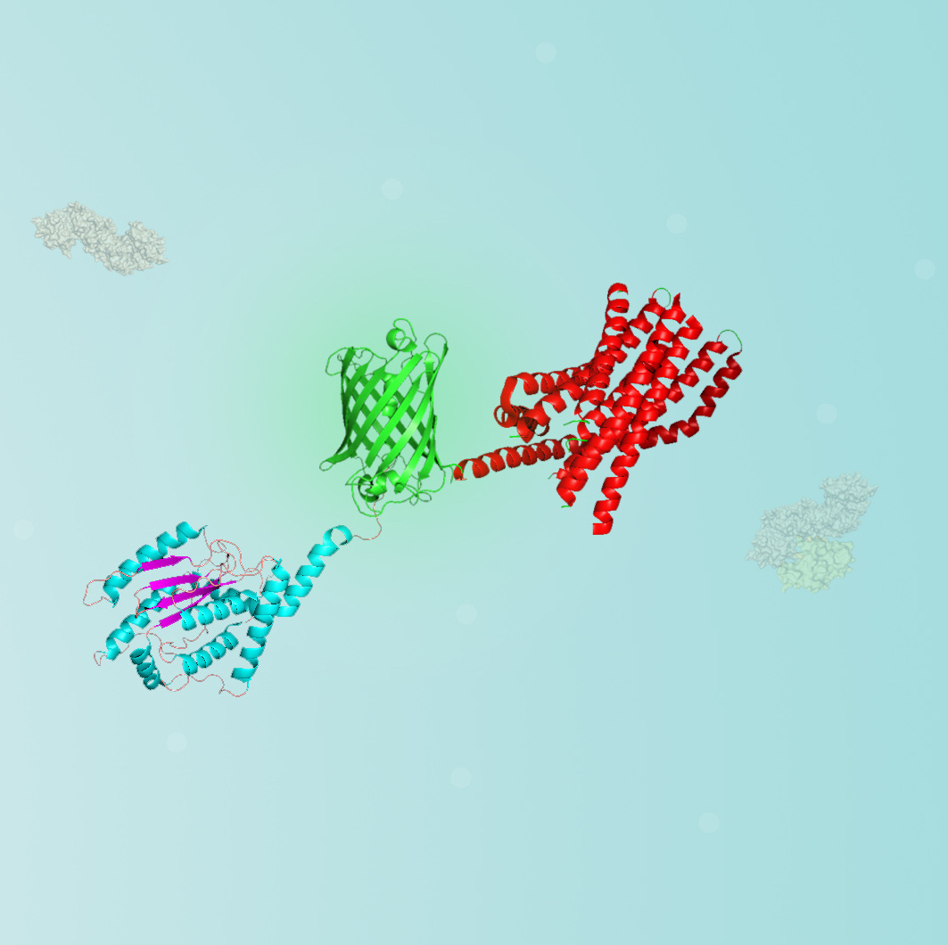 proteomics pic.jpeg